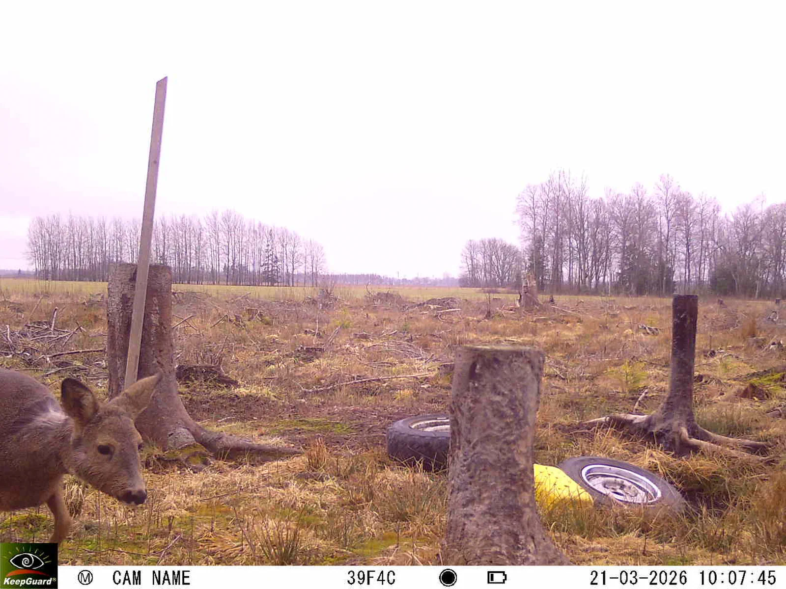 Bild: 1774080710706682380_03210631.webp