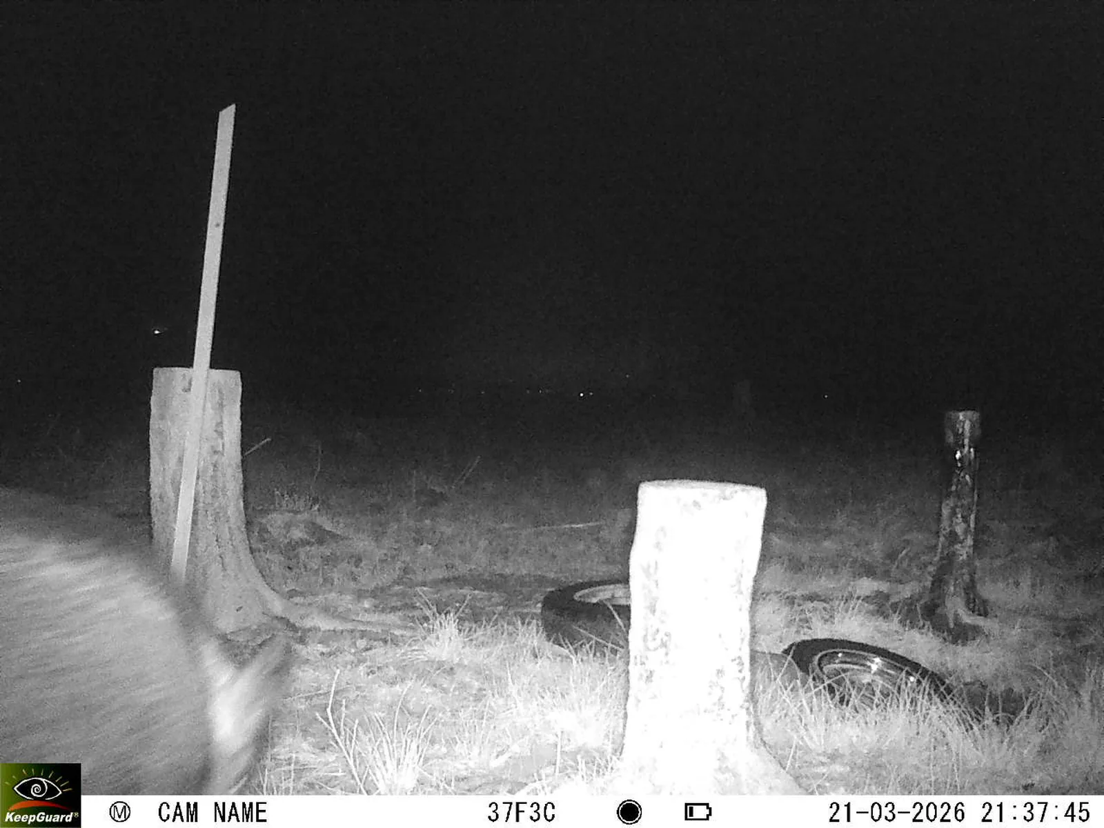 Bild: 1774122108876453731_03210633.webp