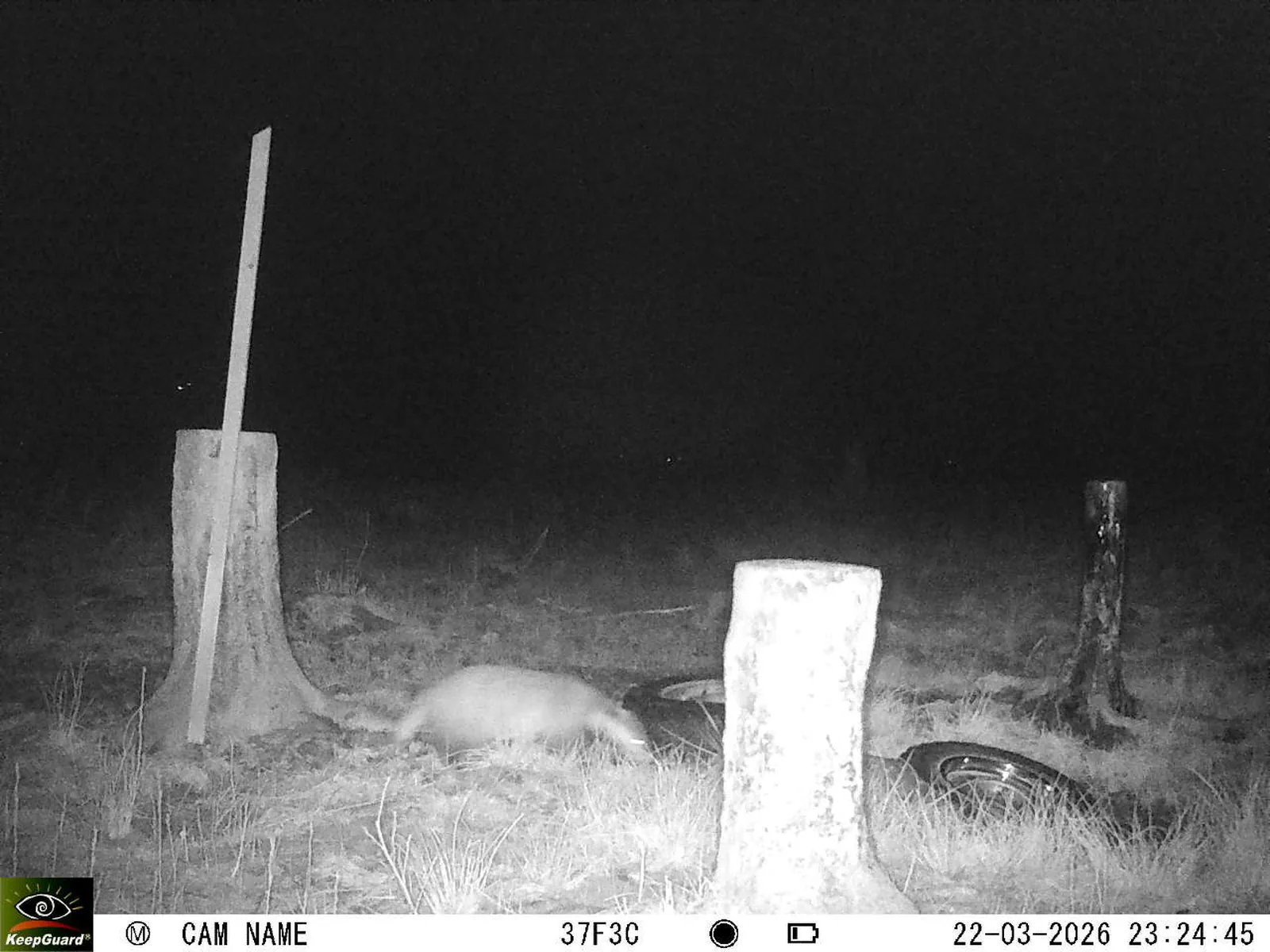 Bild: 1774214931128842583_03220634.webp