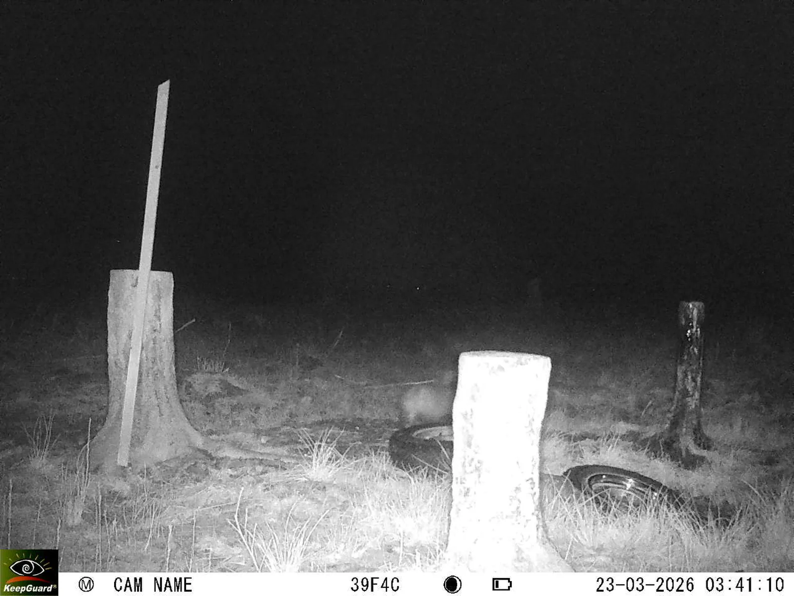 Bild: 1774230316602849598_03230635.webp