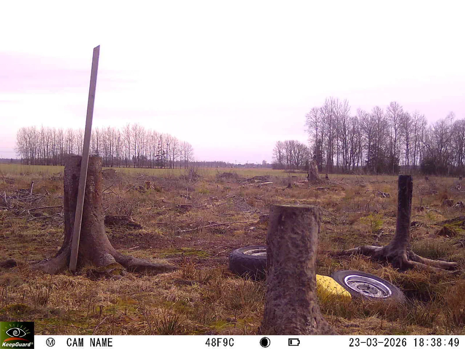 Bild: 1774284176206136035_03230636.webp