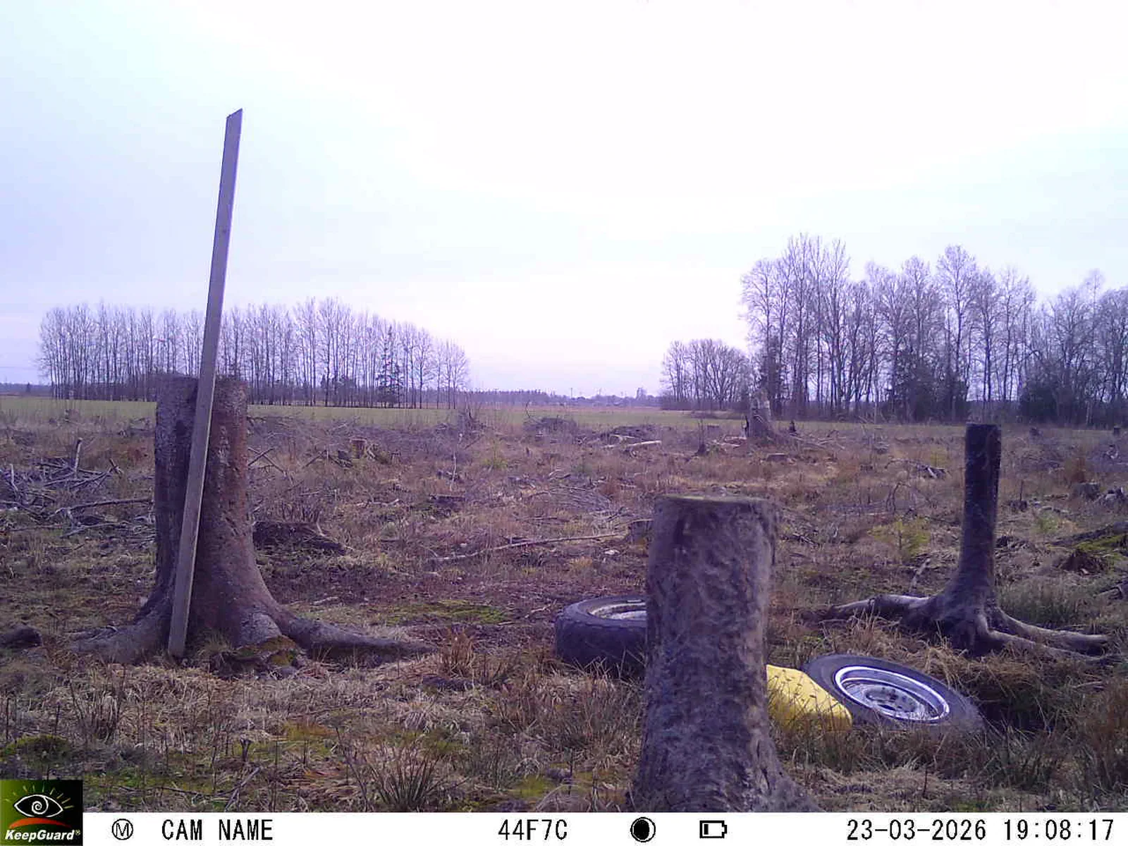 Bild: 1774285945880629373_03230637.webp