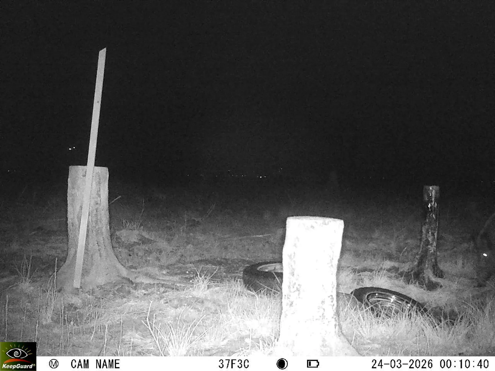 Bild: 1774304087013107554_03240639.webp