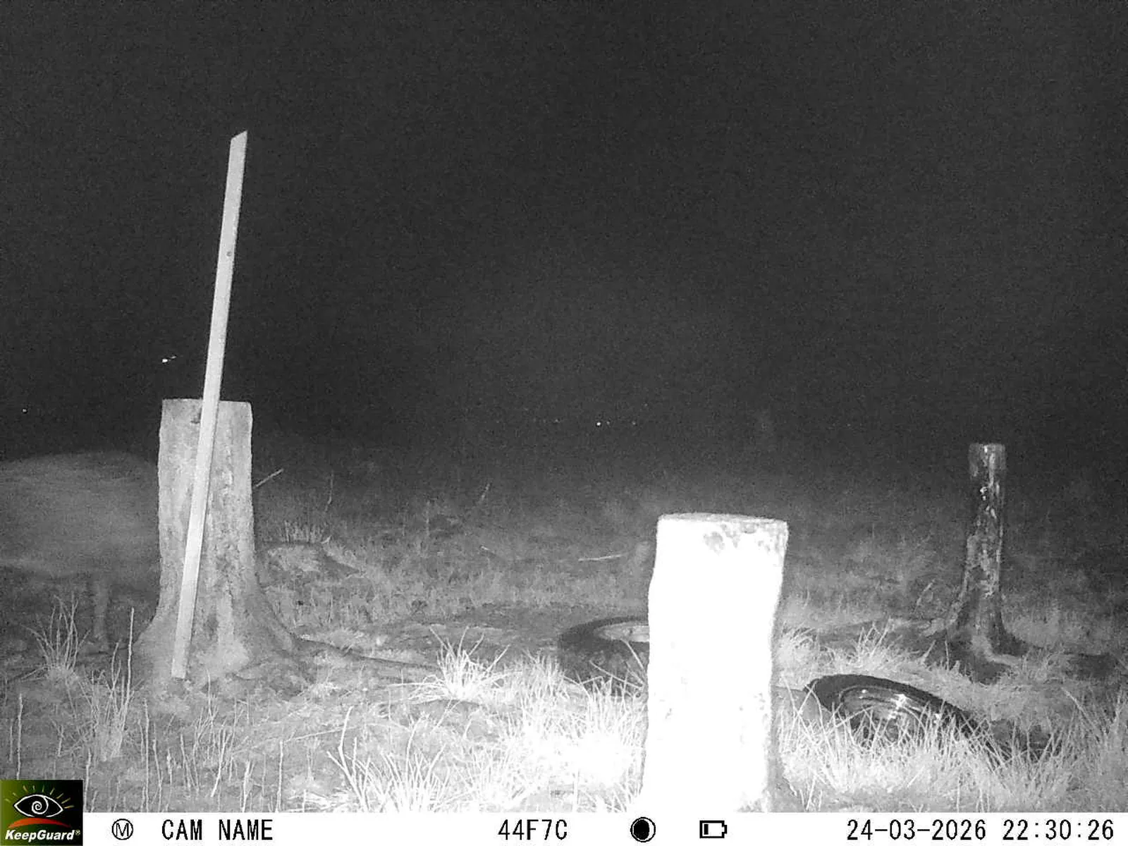 Bild: 1774384473752186840_03240641.webp