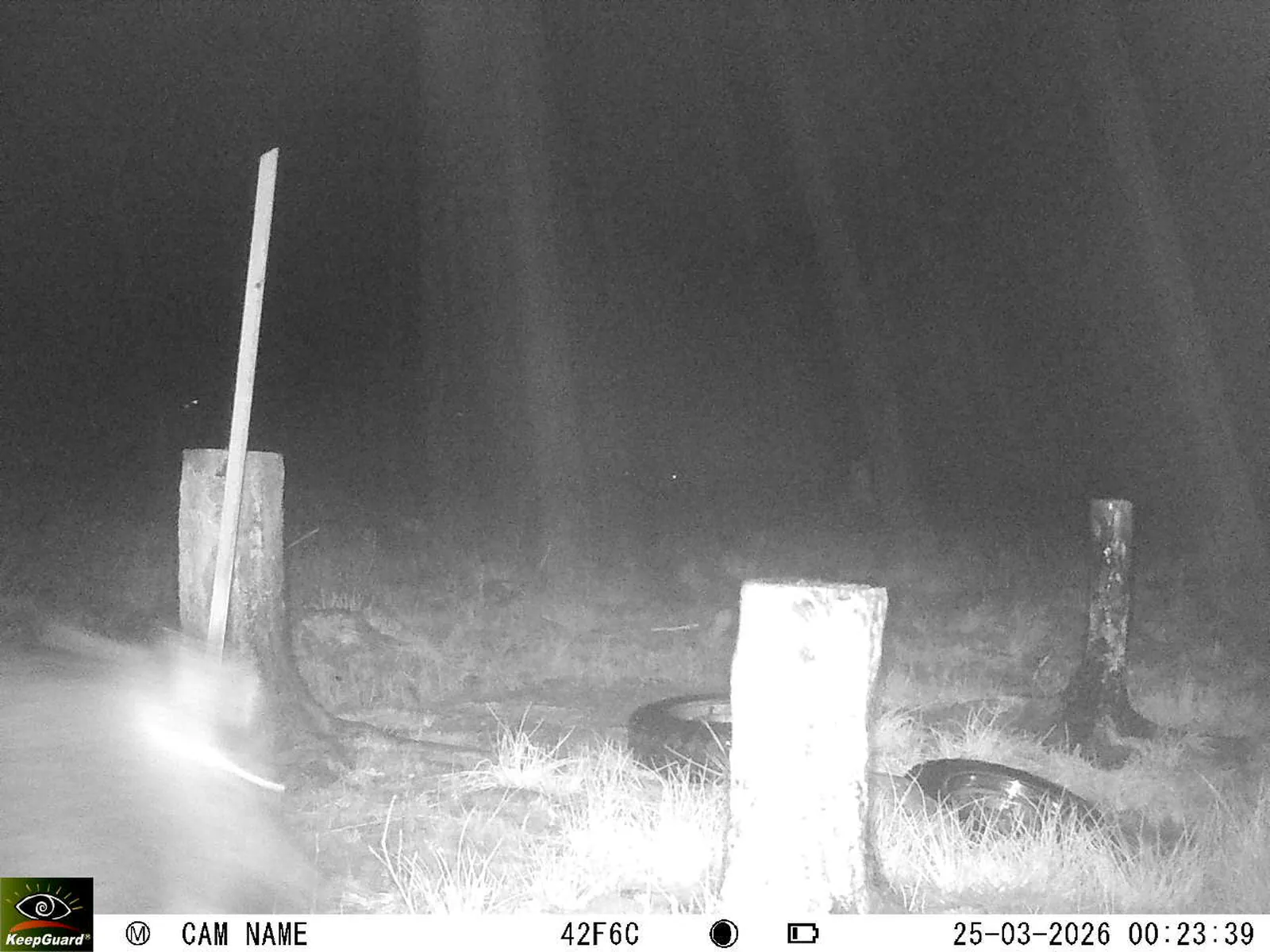 Bild: 1774391266967276766_03250642.webp