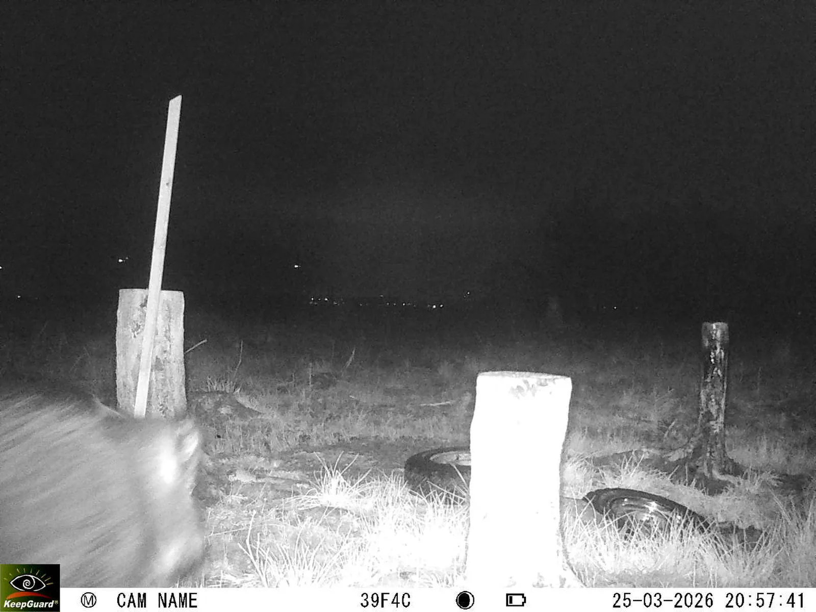 Bild: 1774465310488662251_03250643.webp