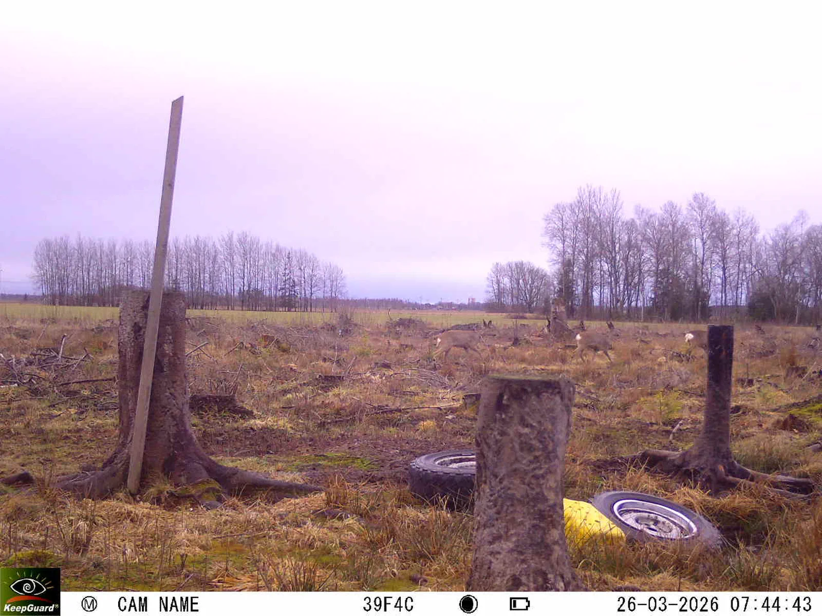 Bild: 1774504131118293057_03260645.webp