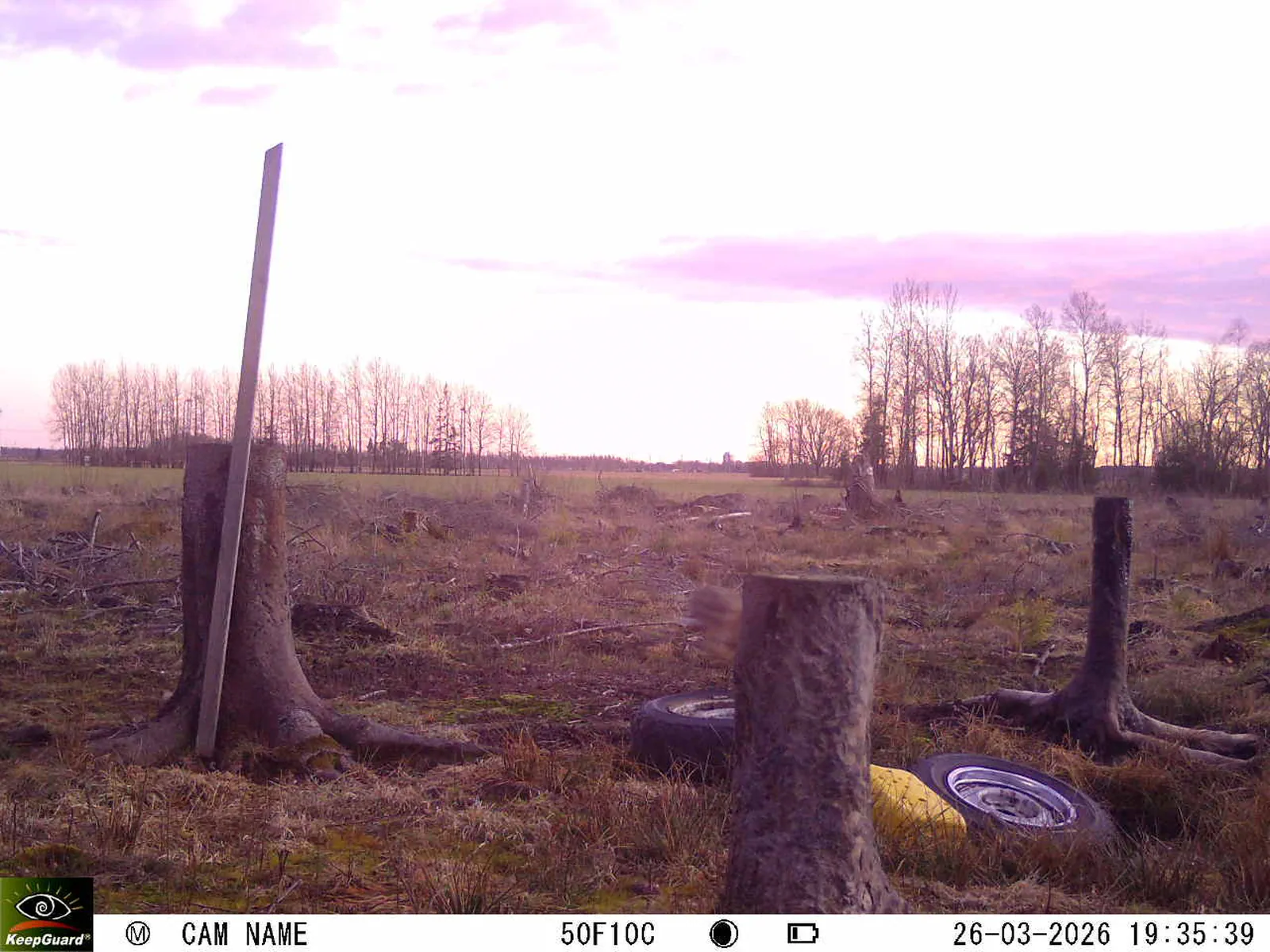 Bild: 1774546789327682196_03260646.webp