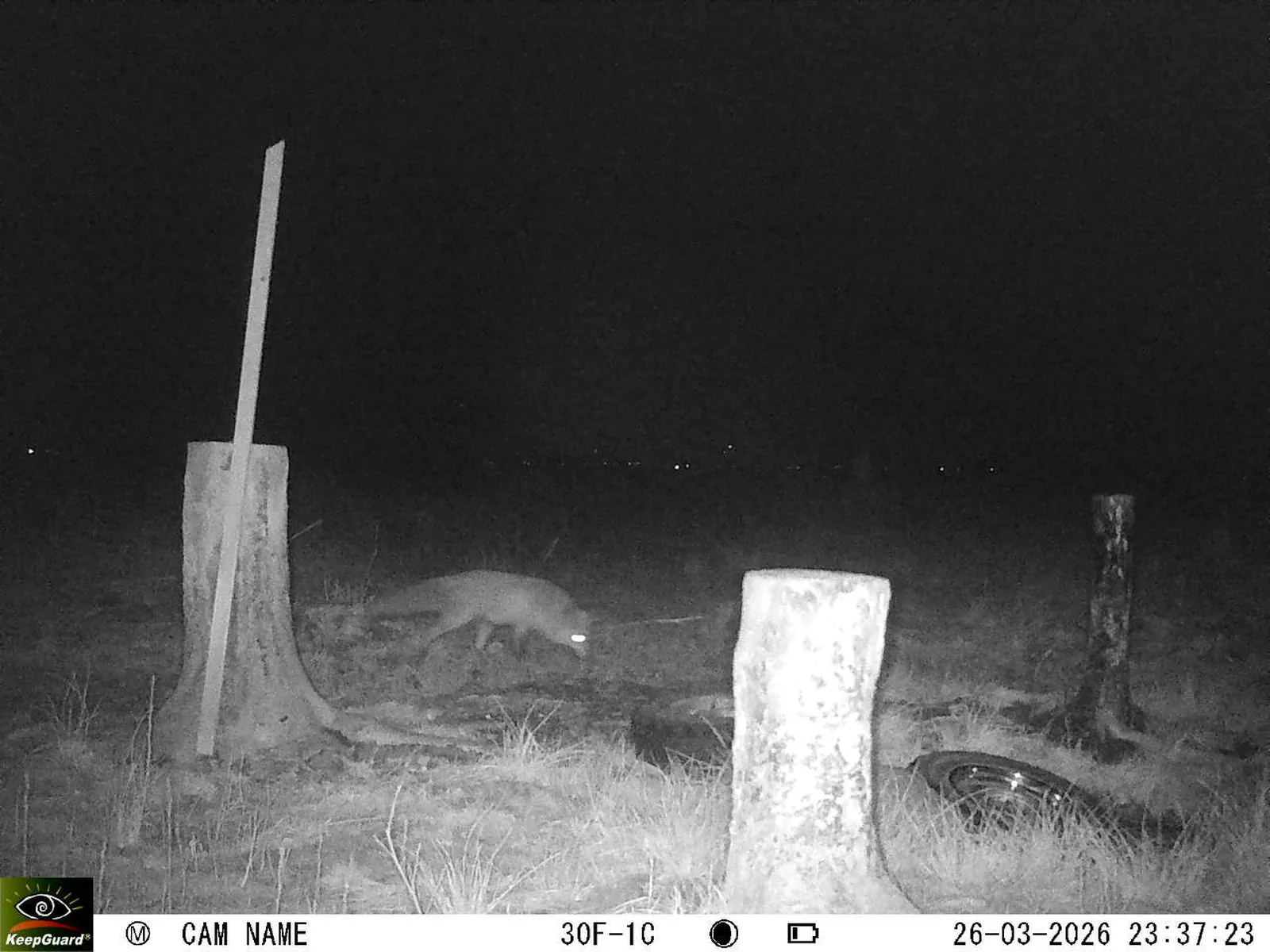 Bild: 1774561293192750056_03260648.webp