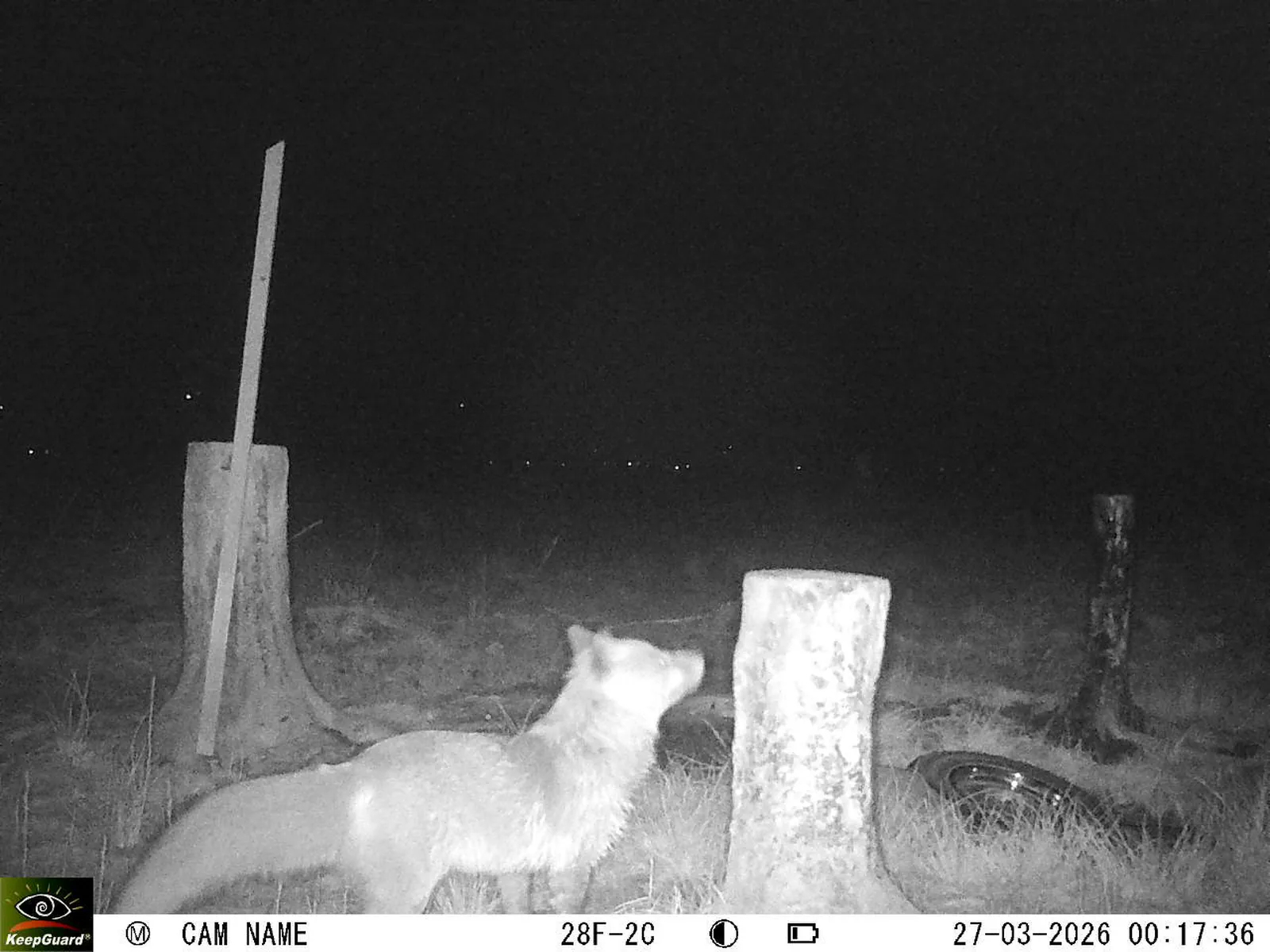 Bild: 1774563706245540505_03270649.webp