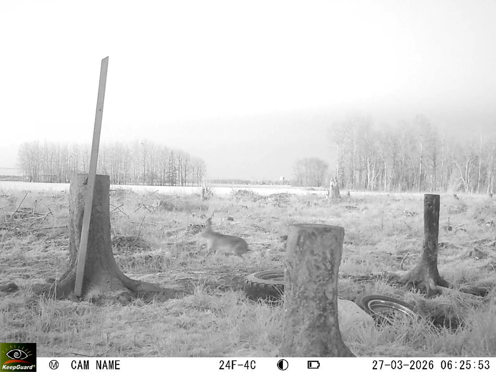 Bild: 1774585810936768201_03270650.webp