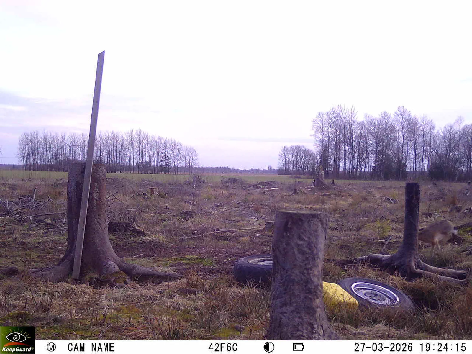 Bild: 1774632510446172534_03270651.webp