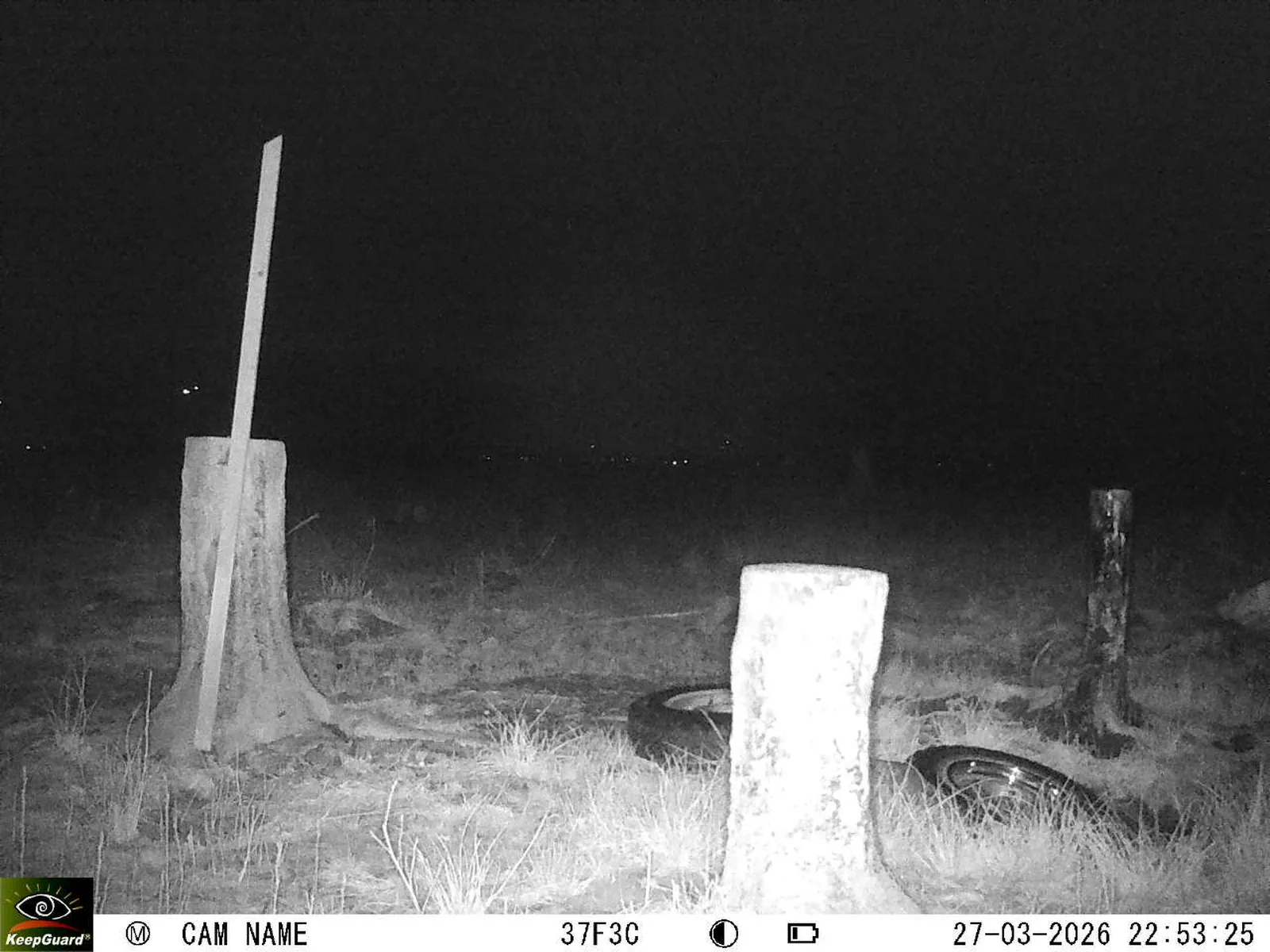 Bild: 1774645055609754330_03270653.webp