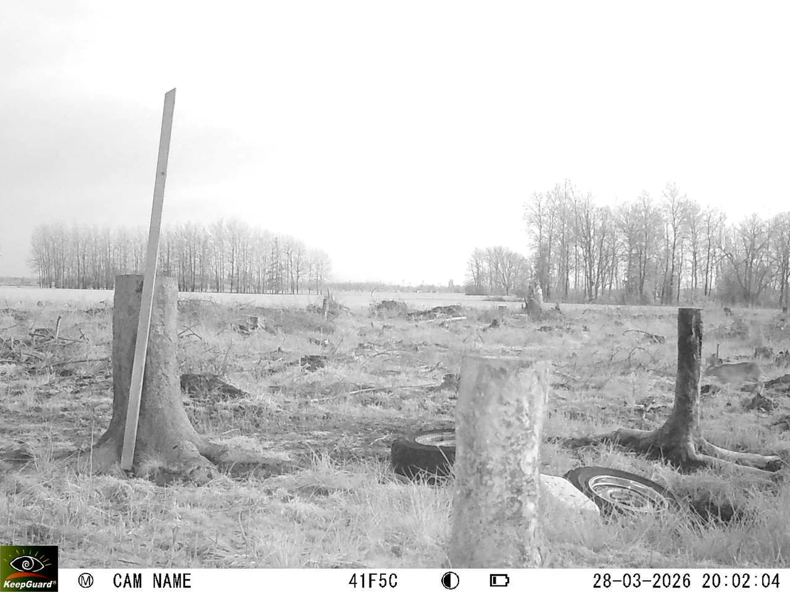 Bild: 1774721173409114334_03280654.webp