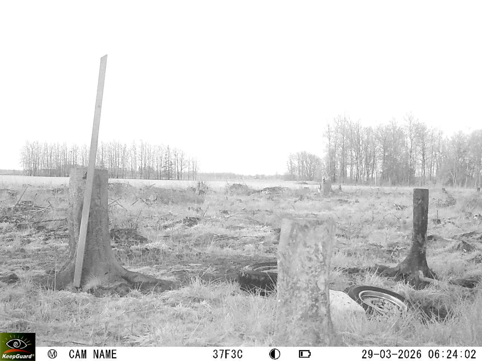 Bild: 1774758495420262170_03290655.webp