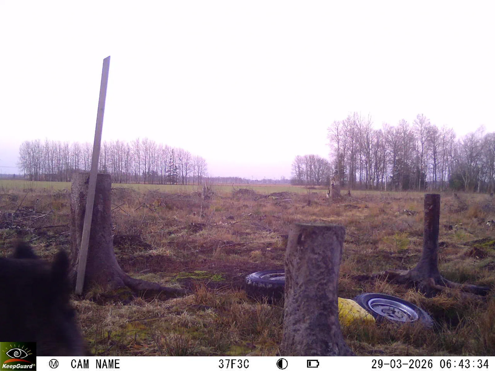 Bild: 1774759665858487725_03290656.webp