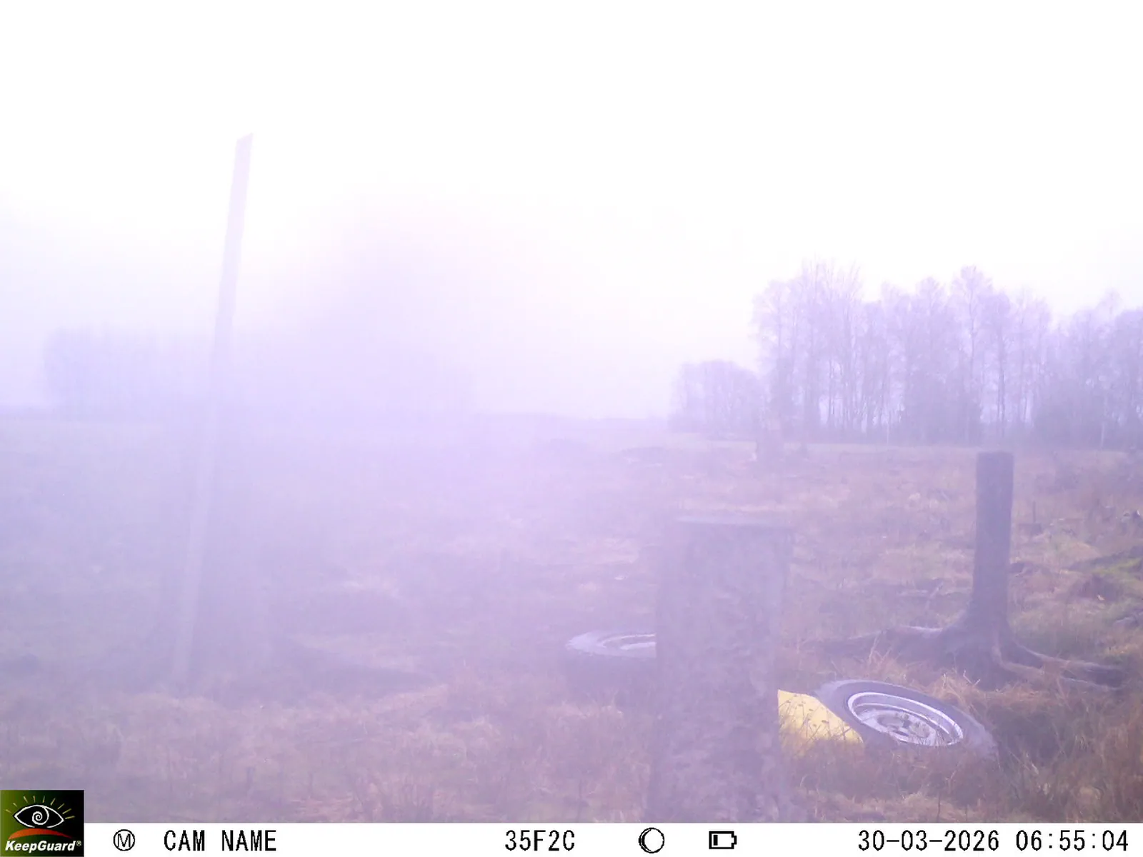 Bild: 1774846757627065230_03300657.webp