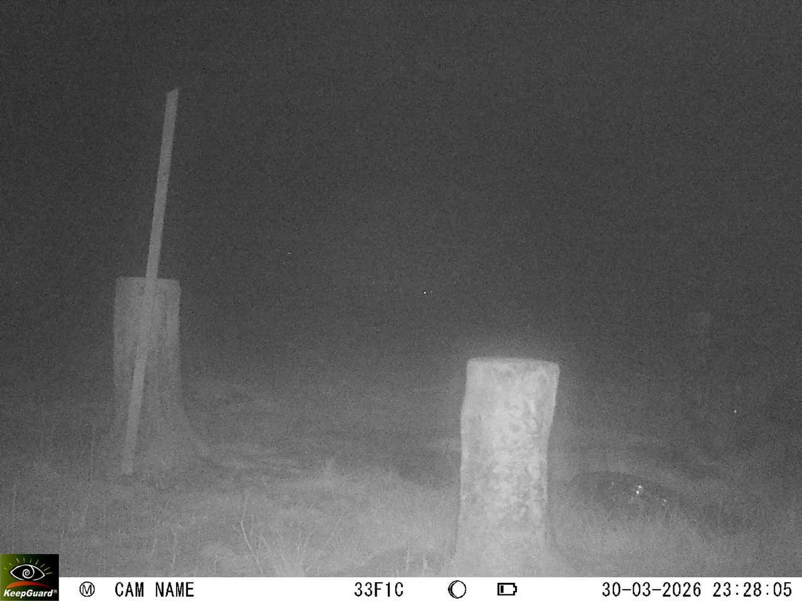 Bild: 1774906339465761889_03300658.webp