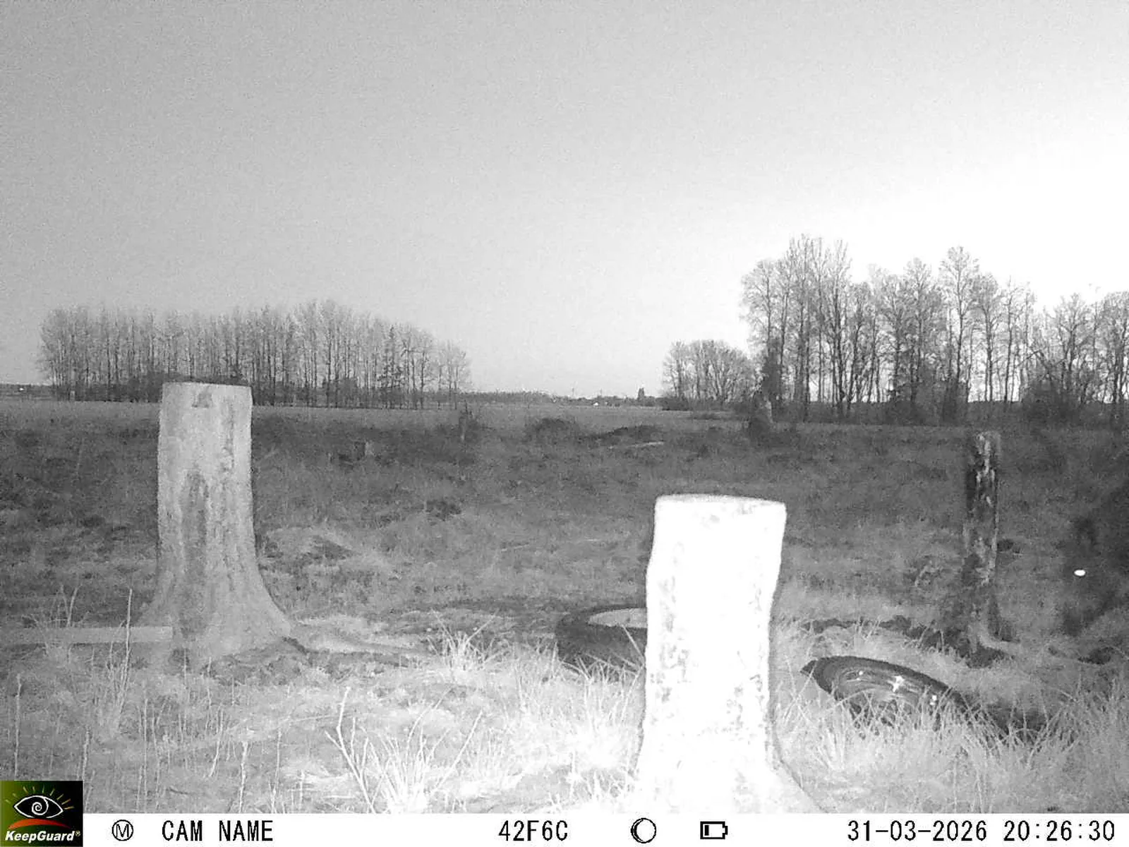 Bild: 1774981844411019954_03310659.webp