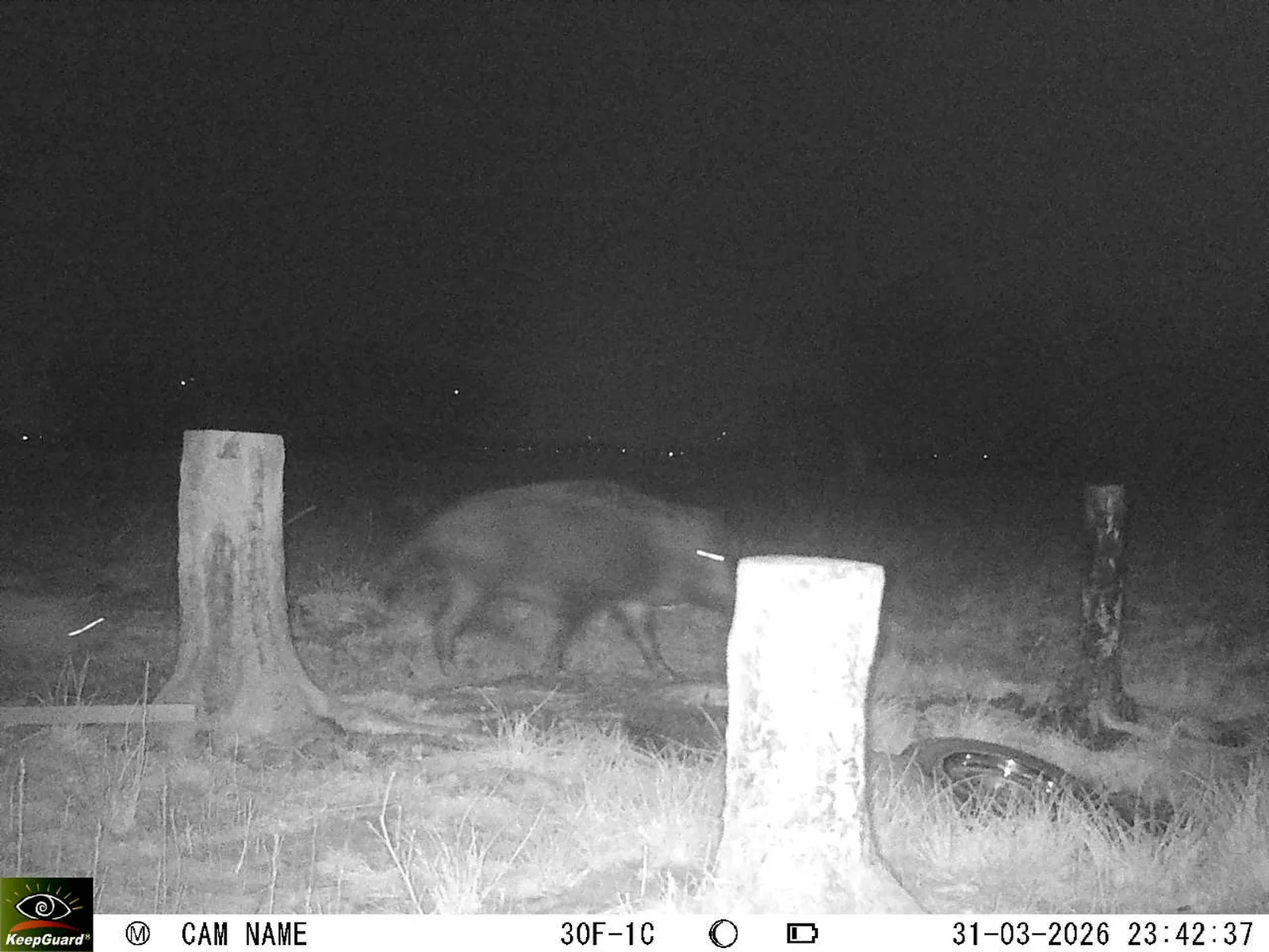 Bild: 1774993611434195411_03310660.webp