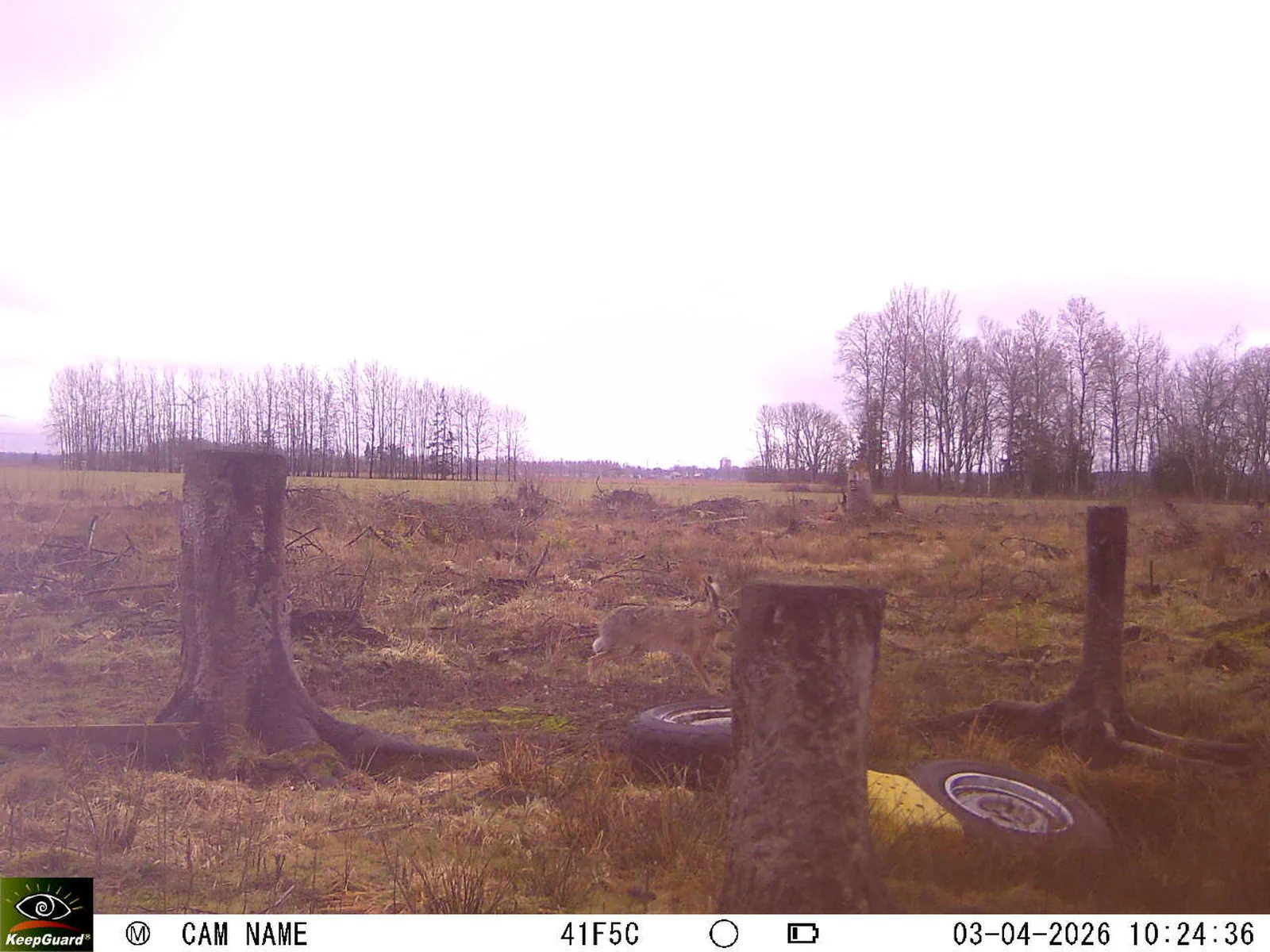 Bild: 1775204933751375466_04030661.webp