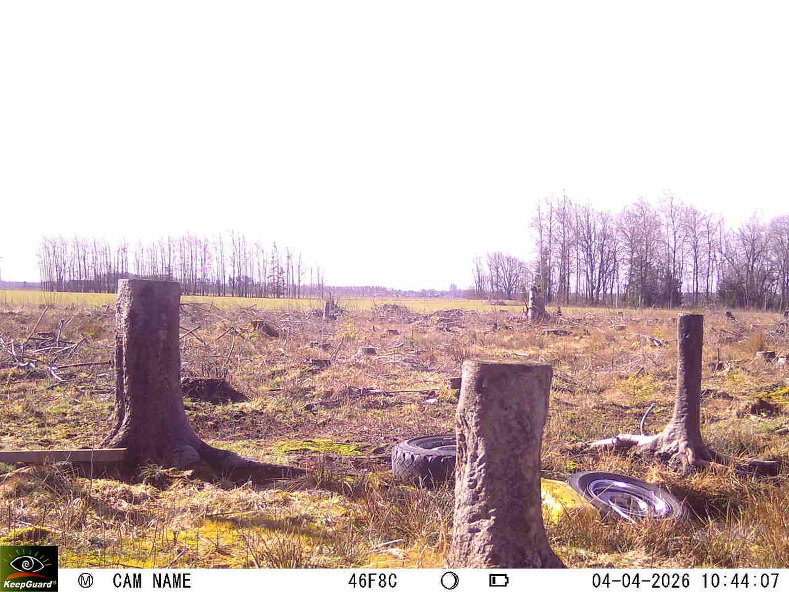 Bild: 1775292505438431046_04040662.webp