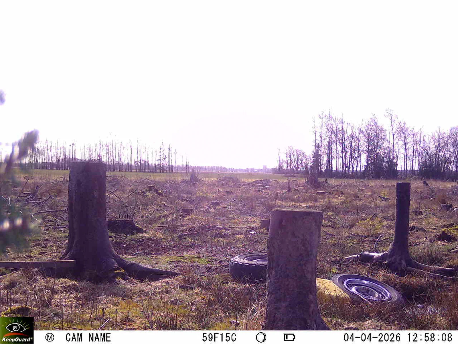 Bild: 1775300545580978005_04040663.webp