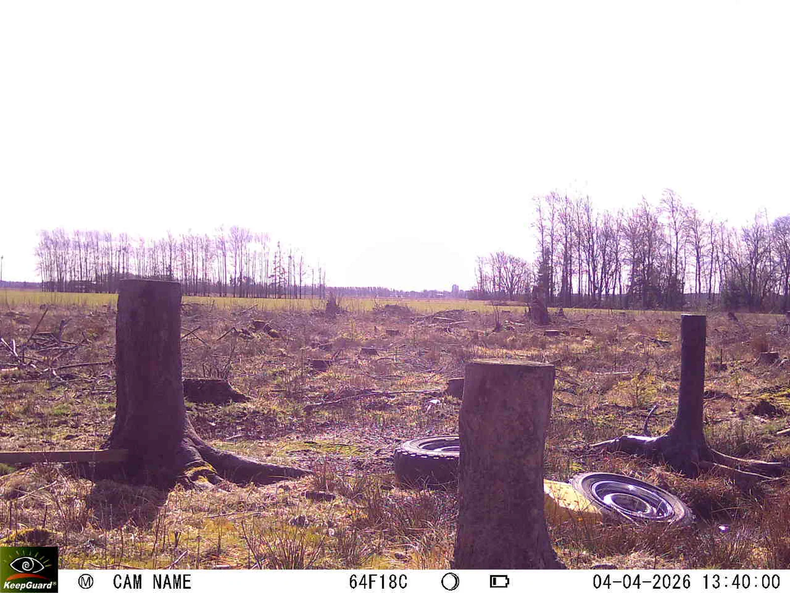 Bild: 1775303058364849118_04040664.webp