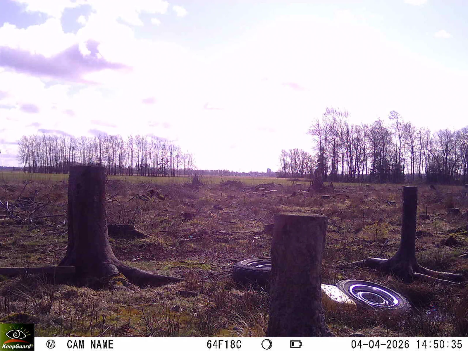 Bild: 1775307292058133173_04040665.webp