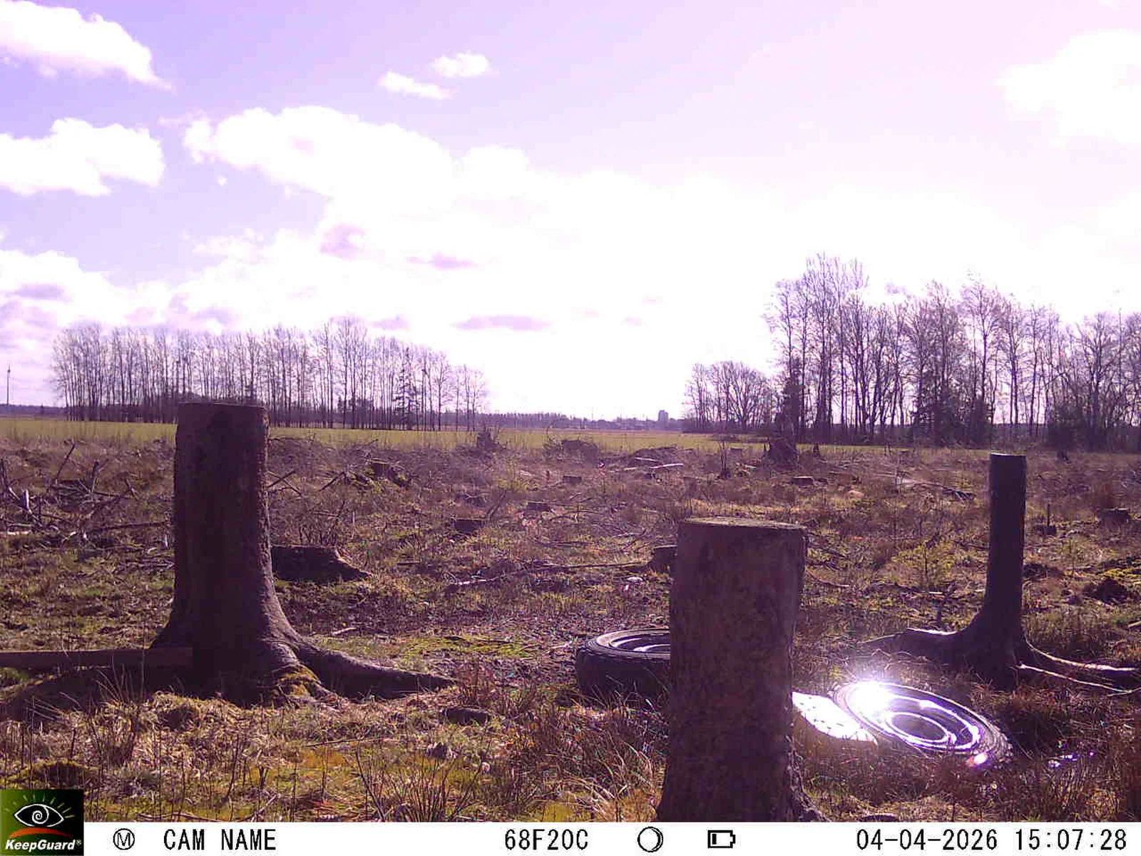 Bild: 1775308304797379069_04040666.webp