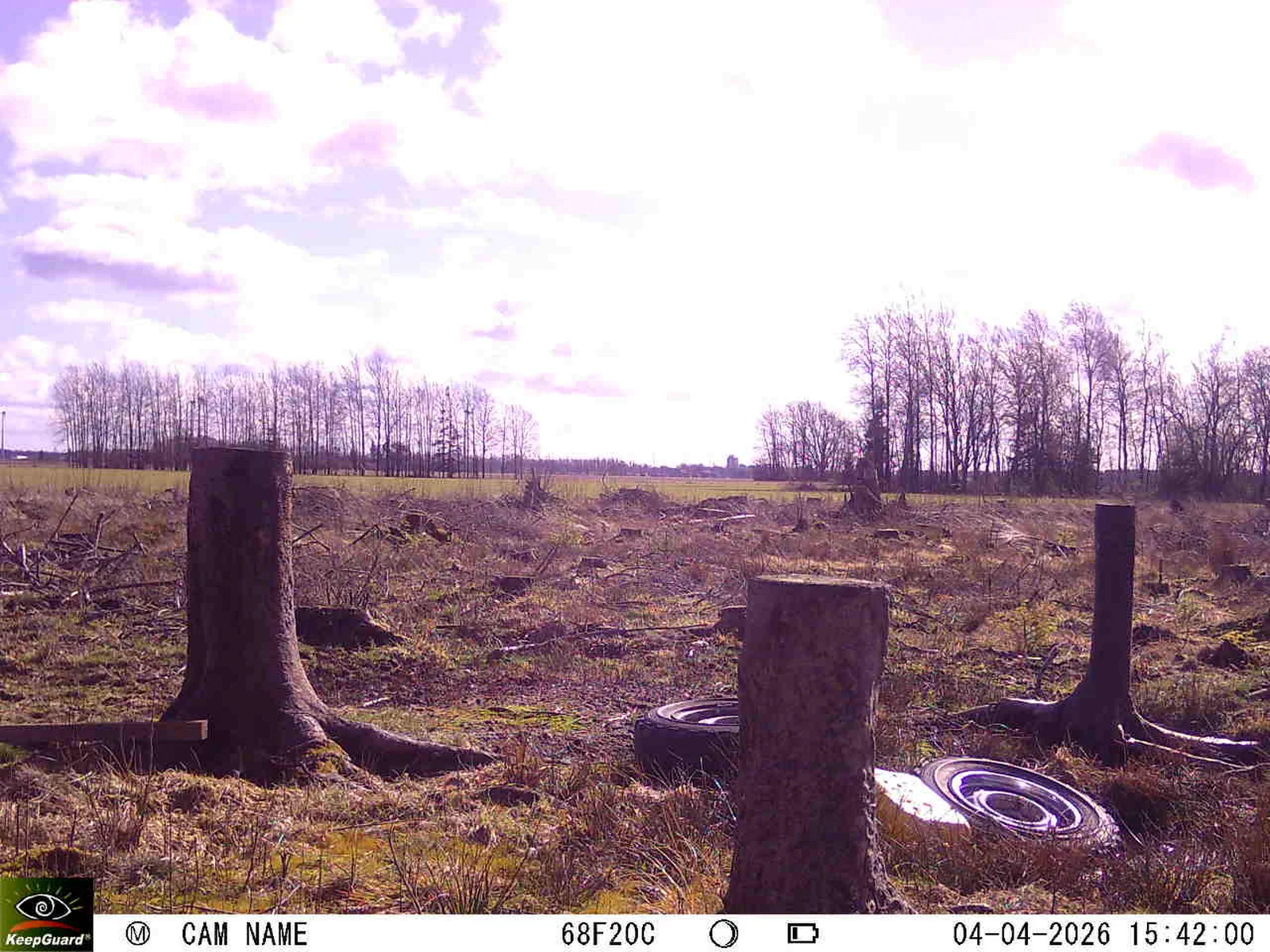 Bild: 1775310377353598294_04040667.webp