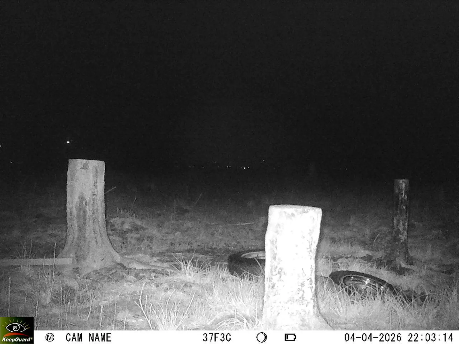 Bild: 1775333251684945831_04040668.webp