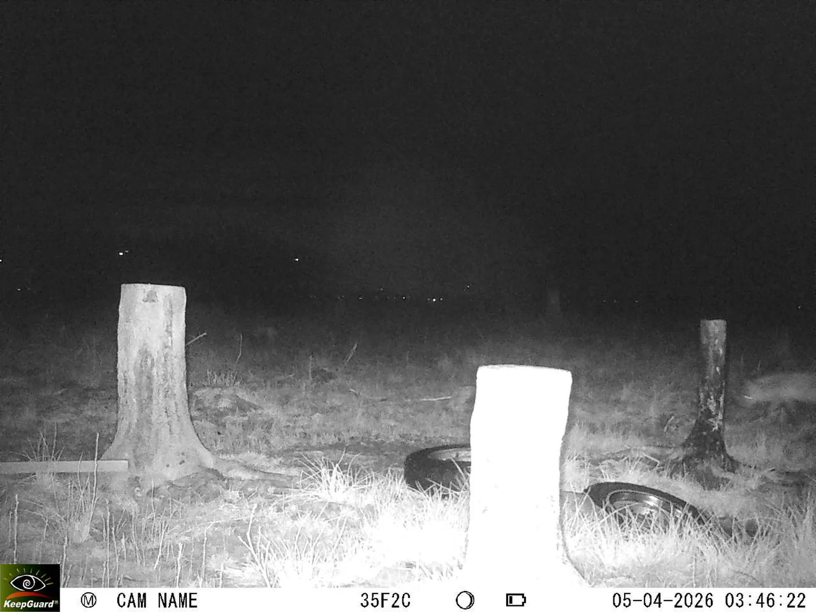 Bild: 1775353851630568483_04050669.webp