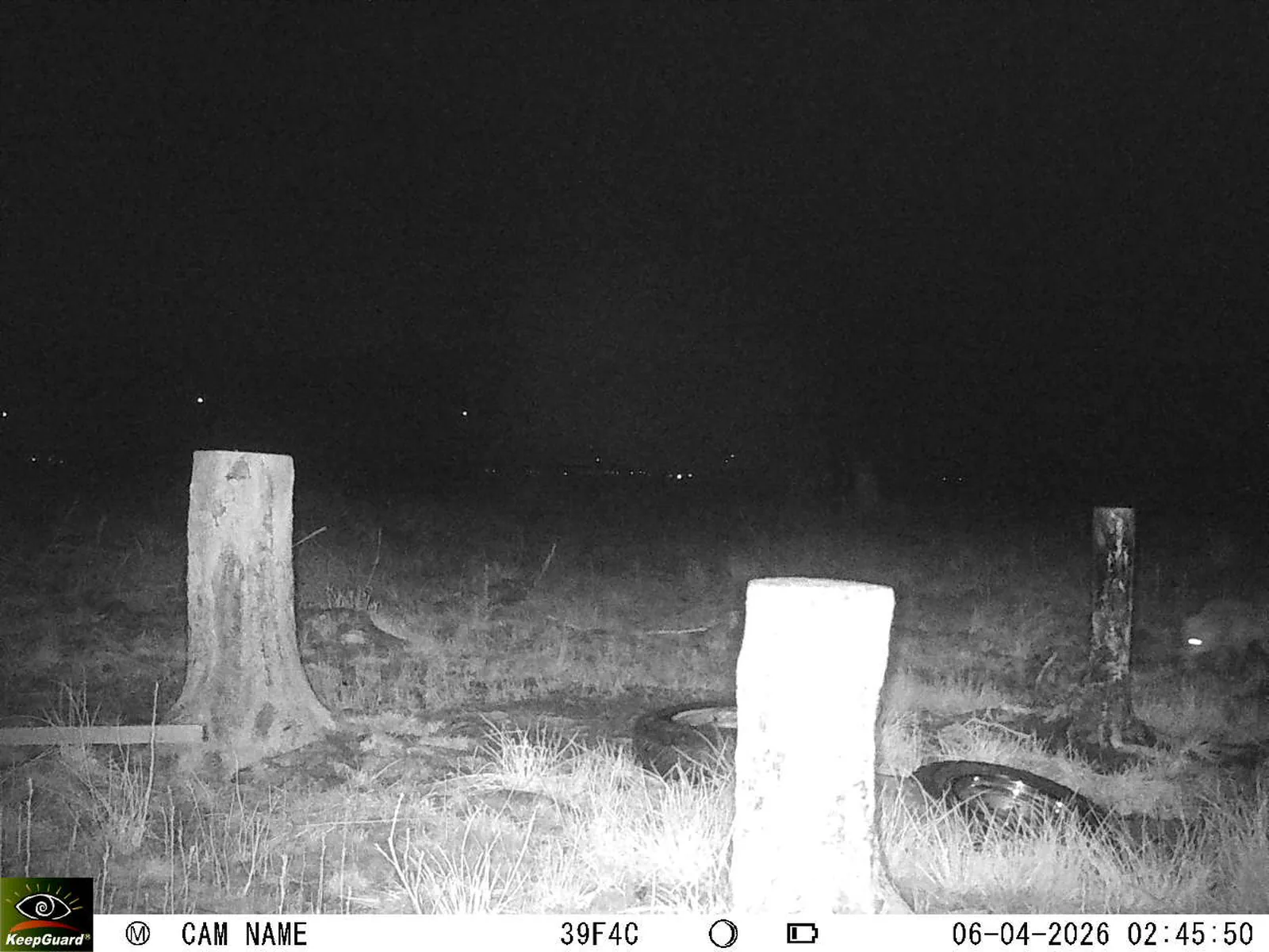 Bild: 1775436608295965321_04060670.webp