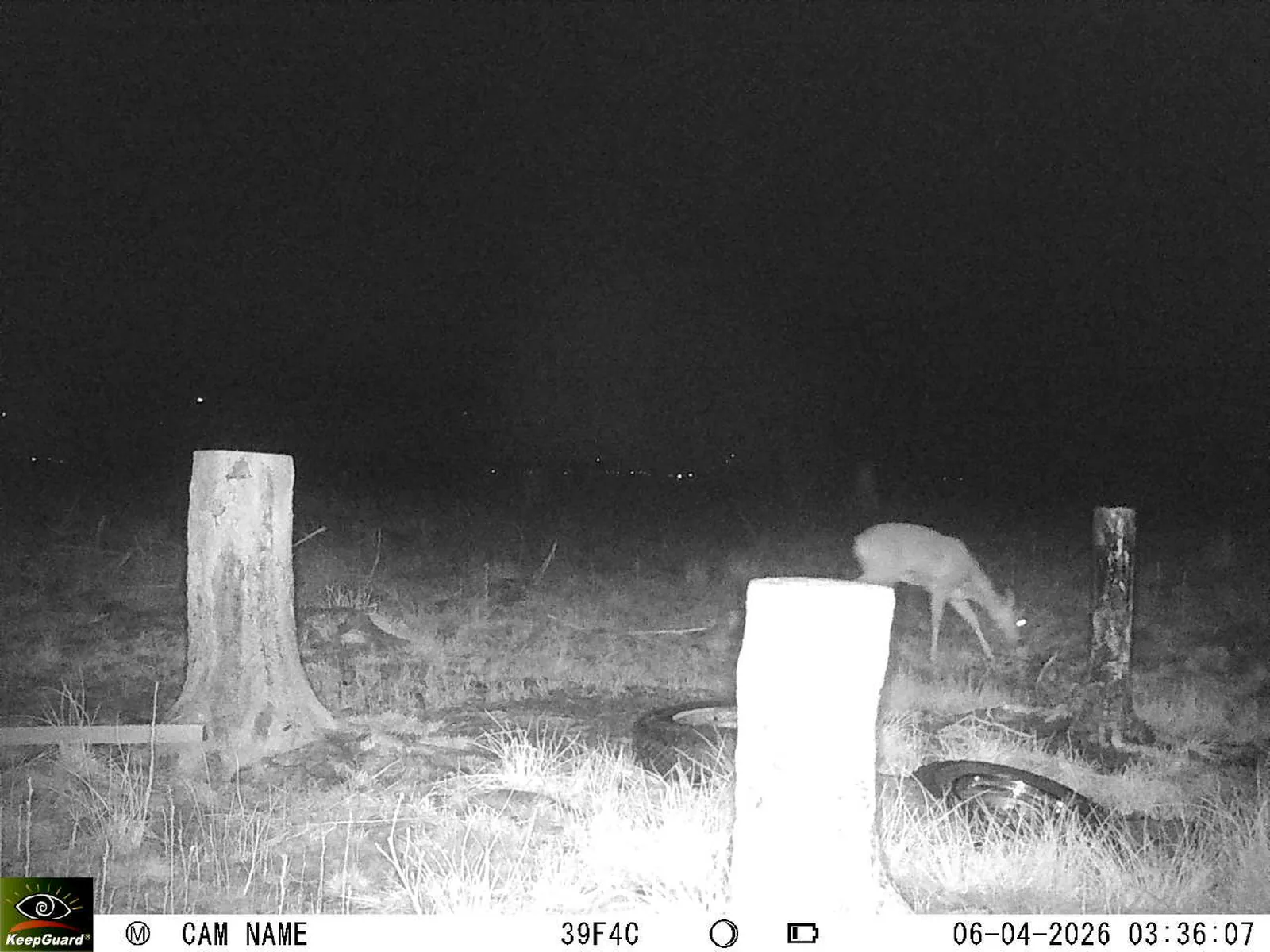 Bild: 1775439624616913094_04060671.webp