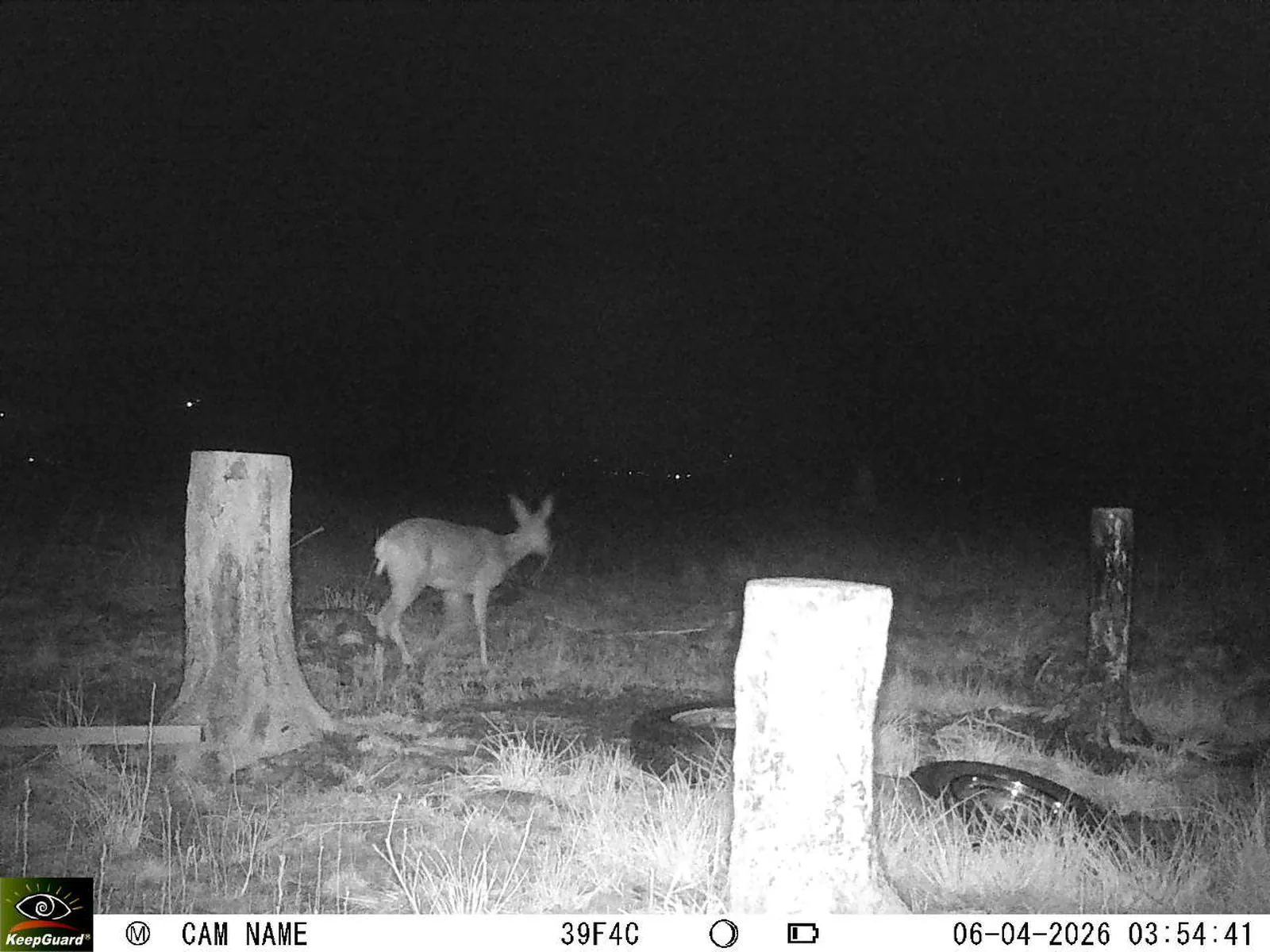 Bild: 1775440738872278791_04060672.webp