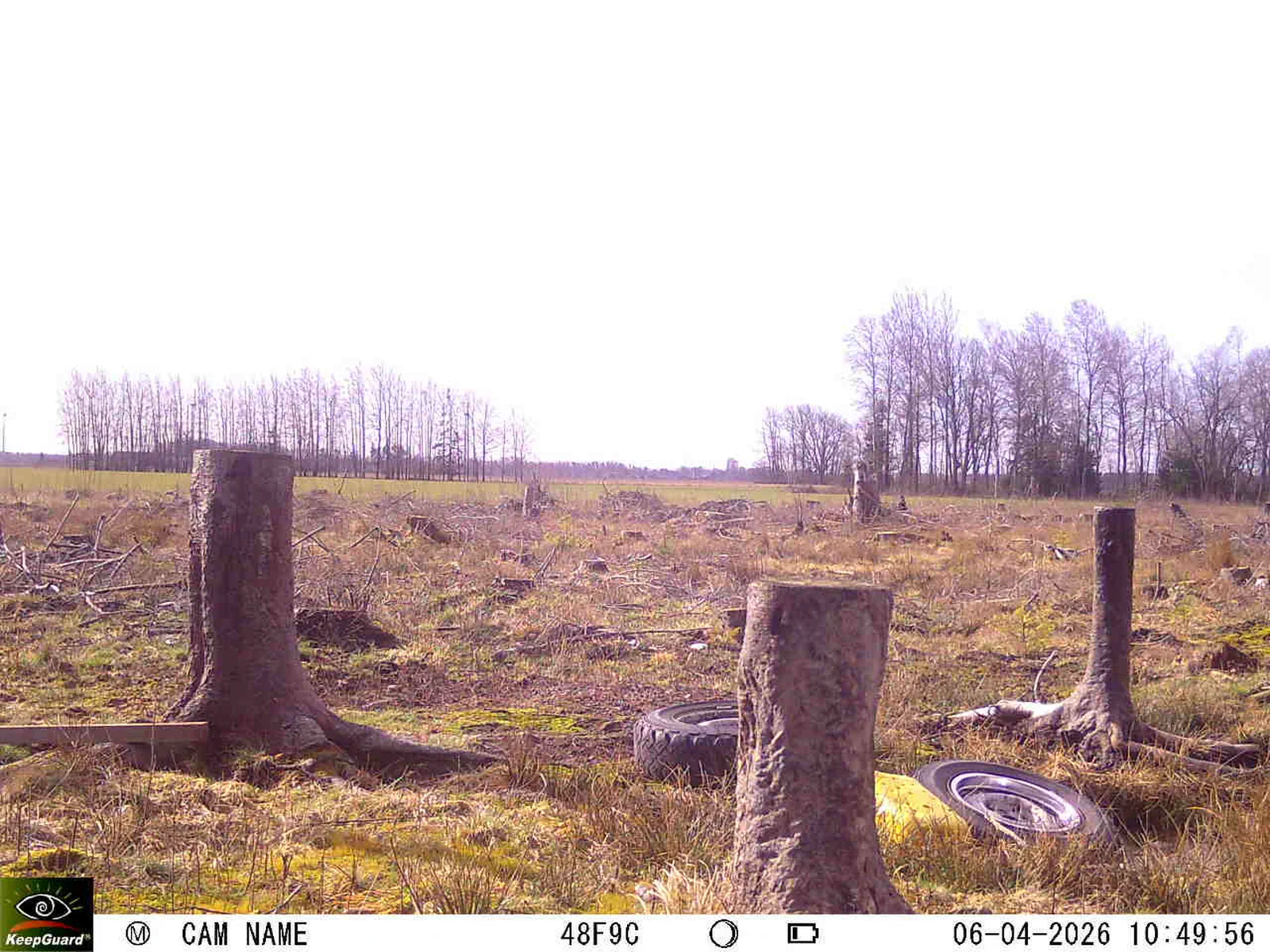 Bild: 1775465654812157865_04060673.webp