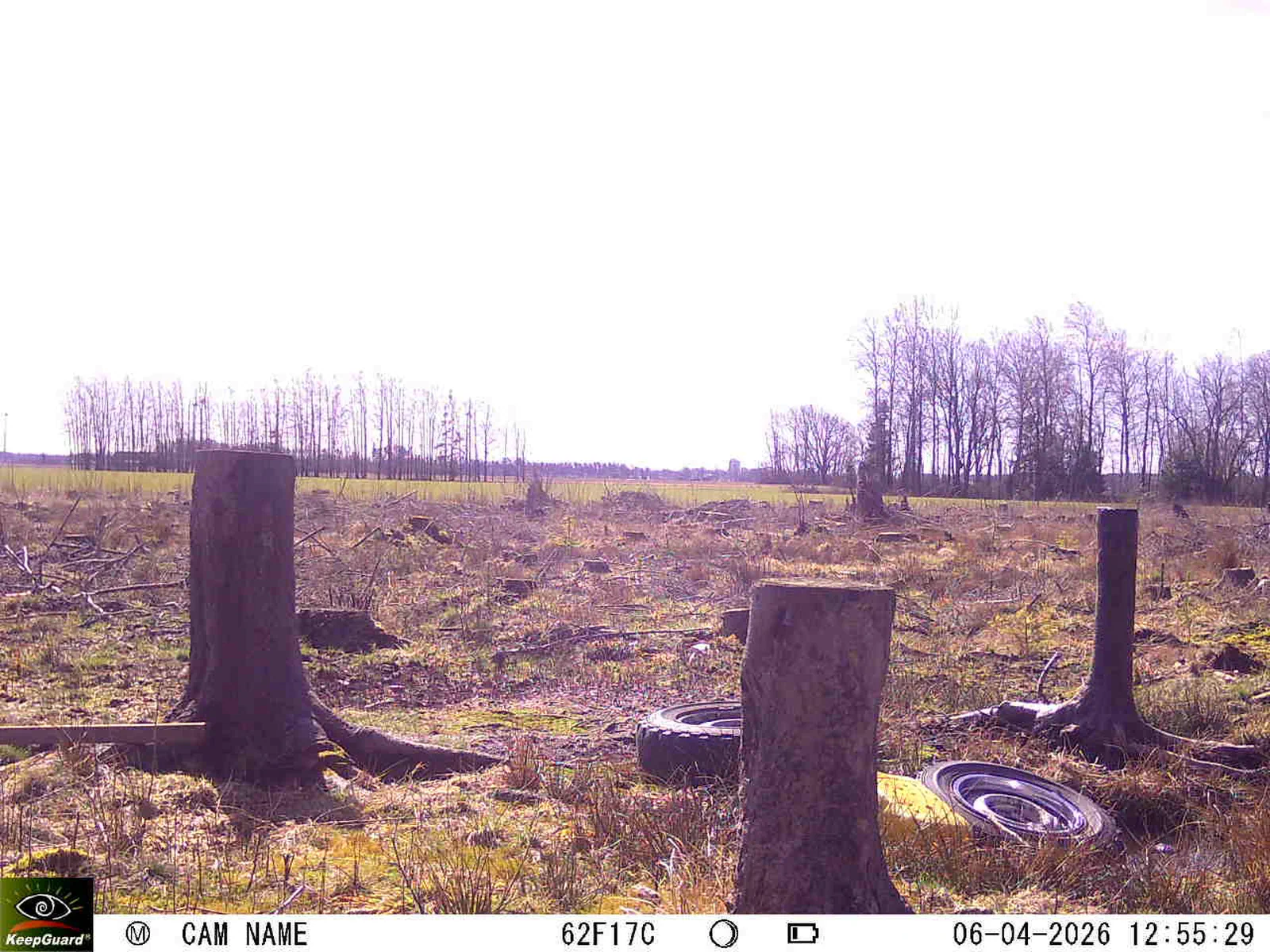 Bild: 1775473187351839703_04060674.webp