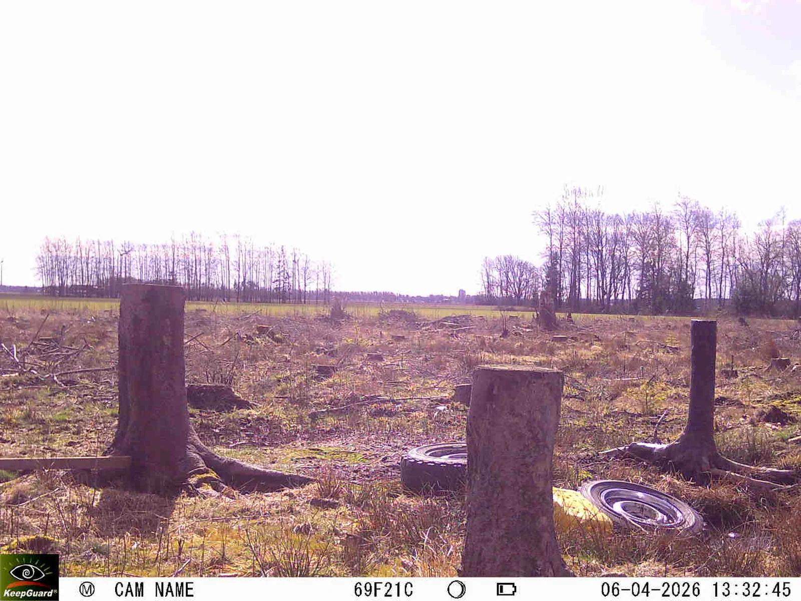 Bild: 1775475427034075561_04060676.webp