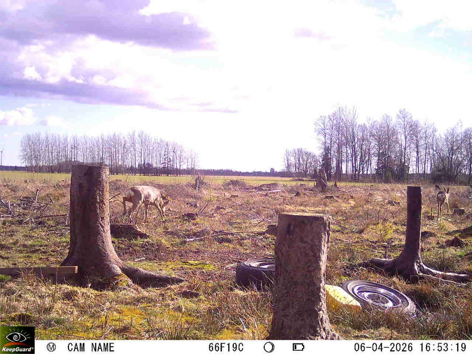 Bild: 1775487458223264239_04060677.webp