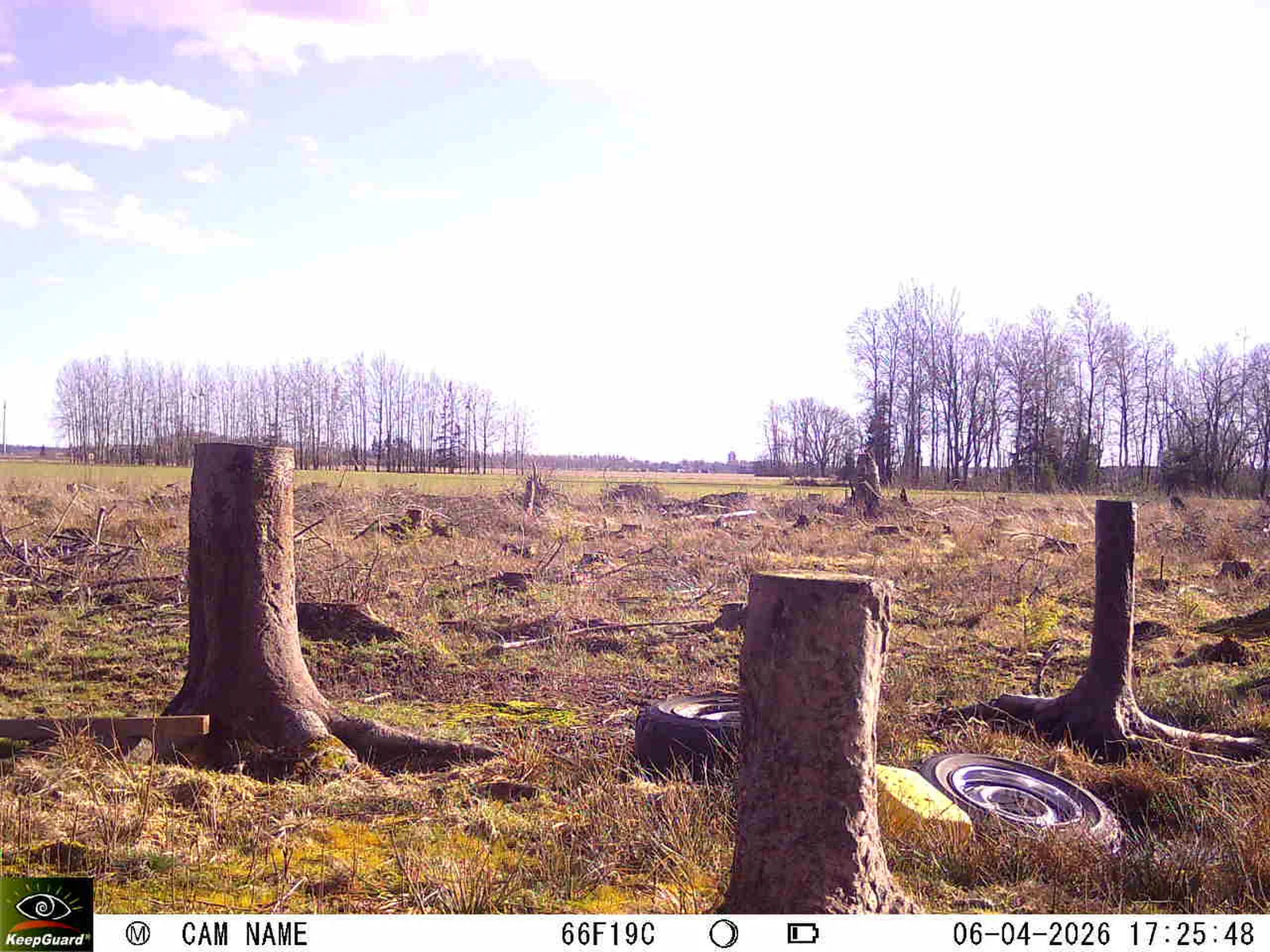 Bild: 1775489410844598555_04060678.webp