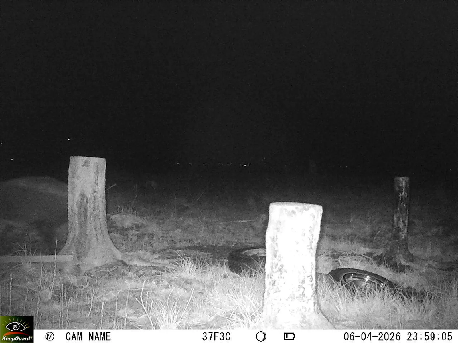 Bild: 1775513005881290320_04060680.webp