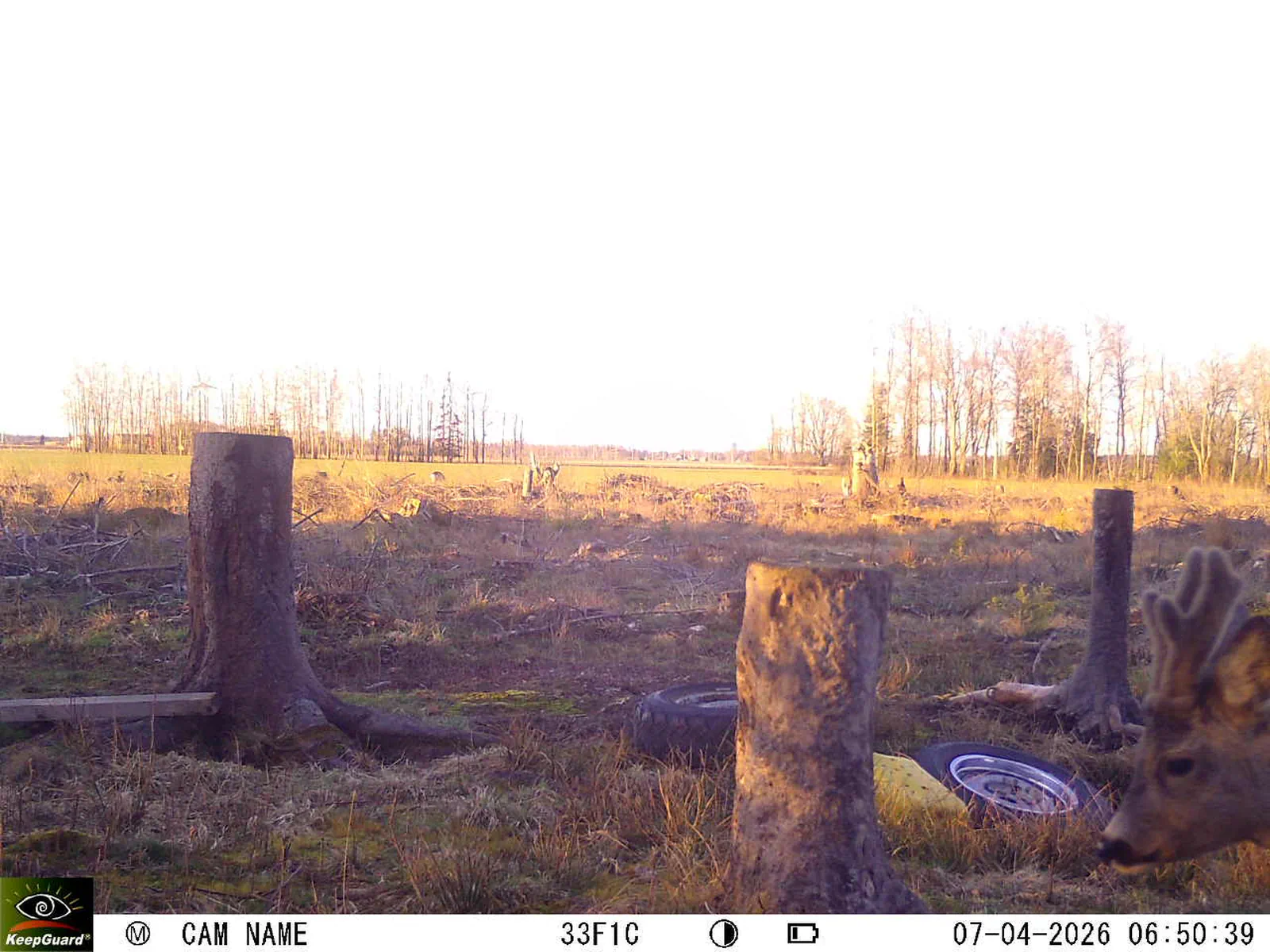 Bild: 1775537700334574859_04070681.webp