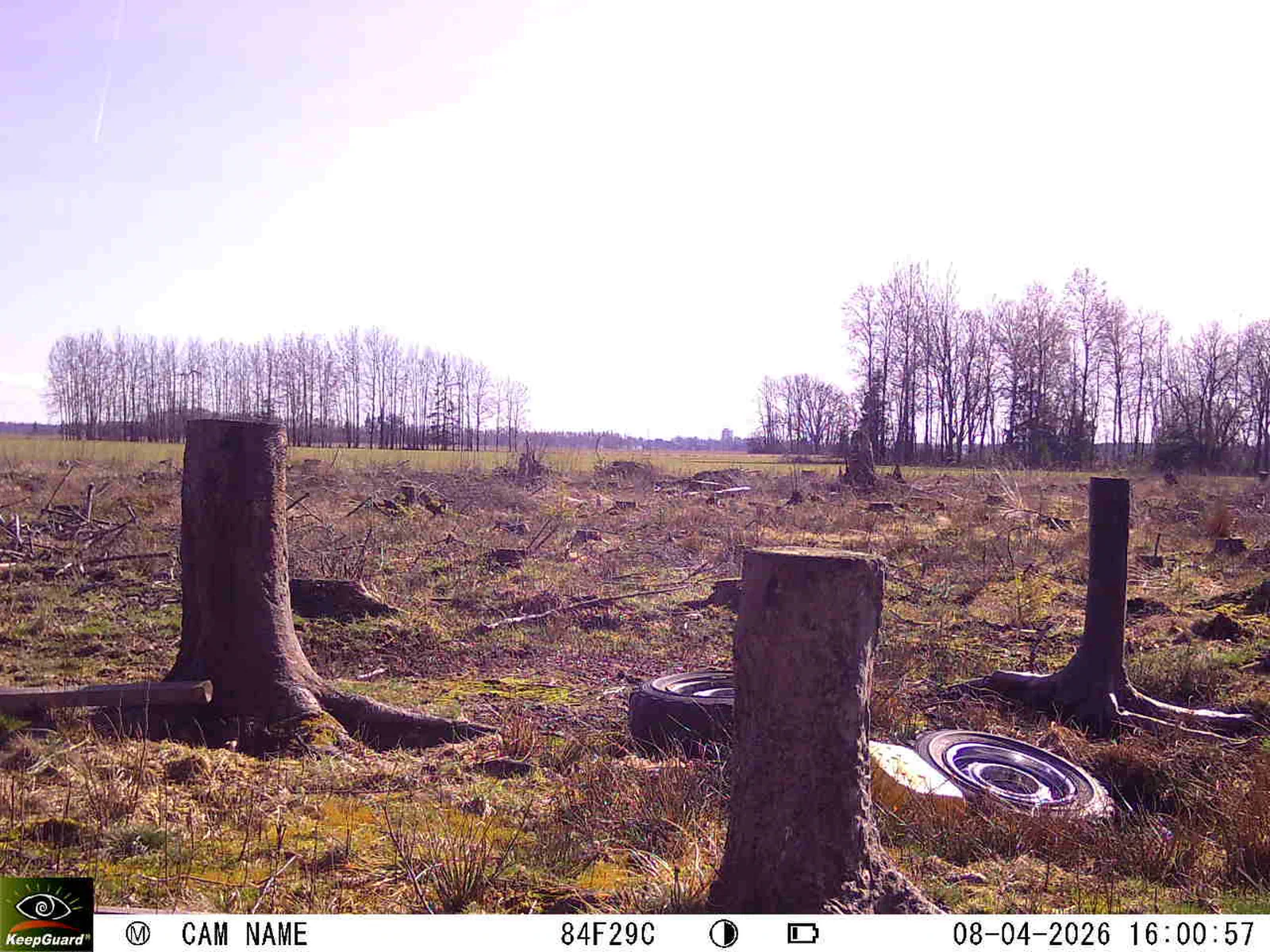 Bild: 1775657119824830742_04080683.webp