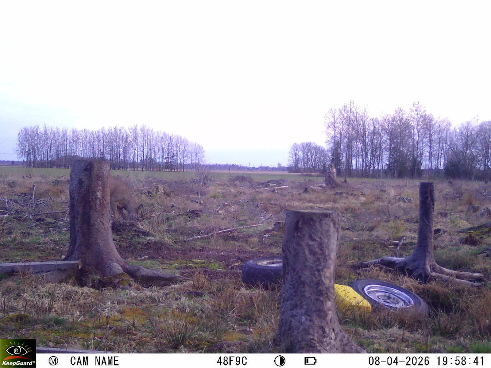 Bild: 1775671382945040190_04080684.webp