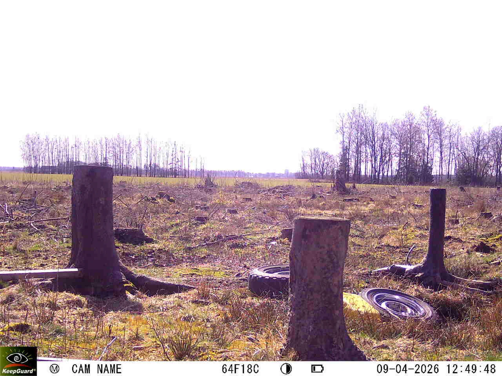 Bild: 1775732055914093224_04090685.webp