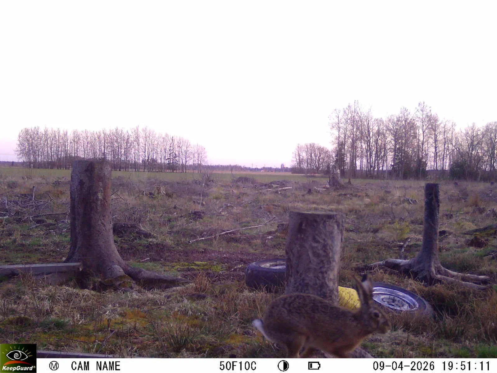 Bild: 1775757342074685113_04090686.webp