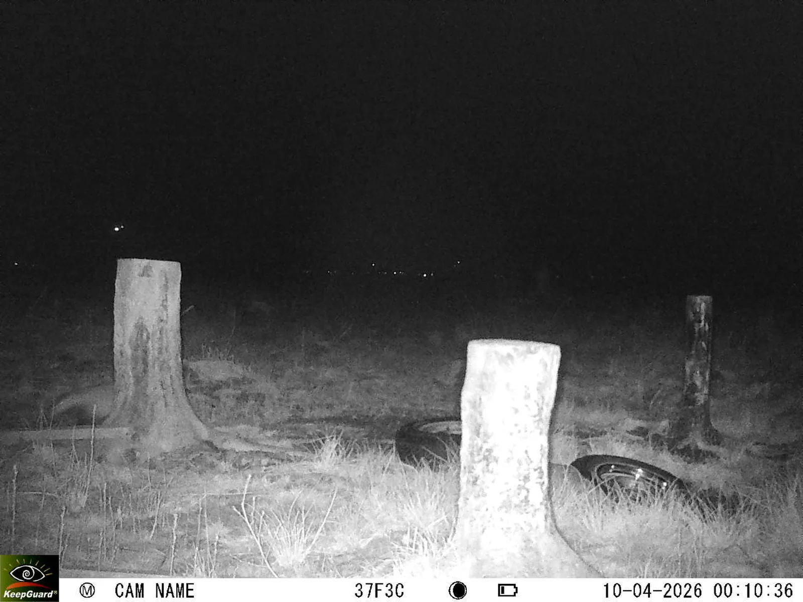 Bild: 1775772899369223149_04100687.webp