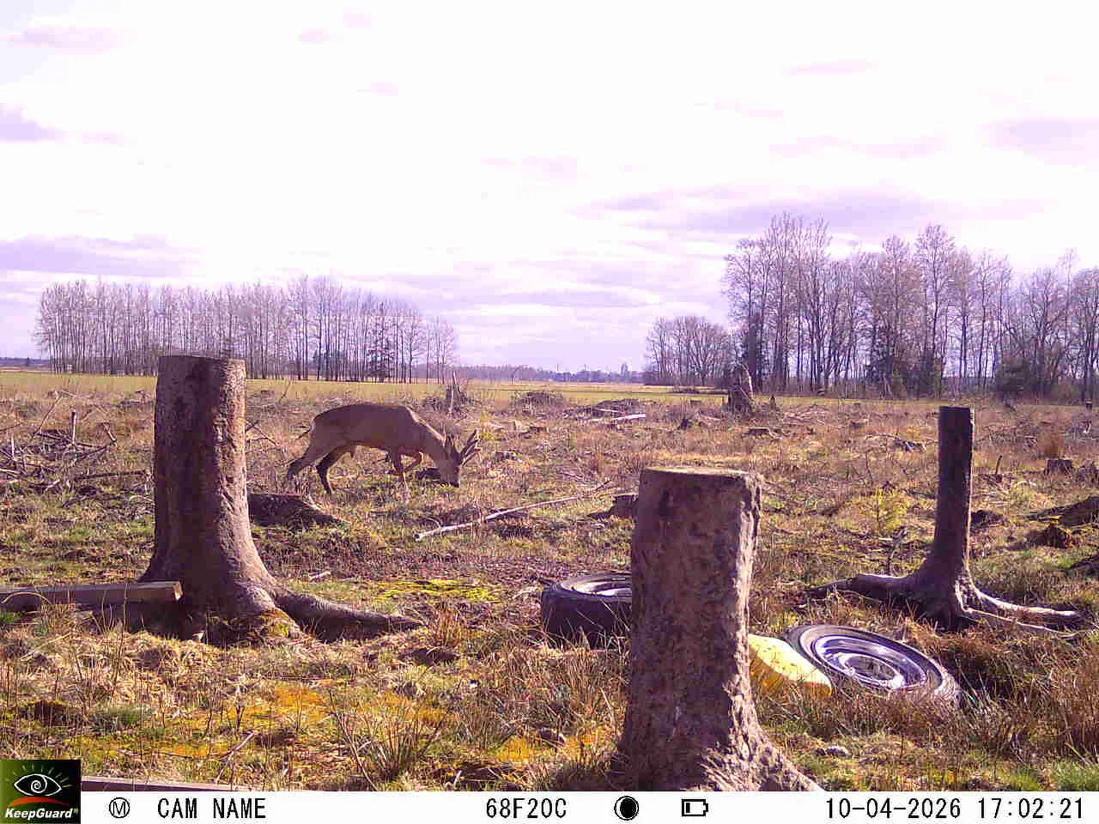 Bild: 1775833608462933347_04100688.webp