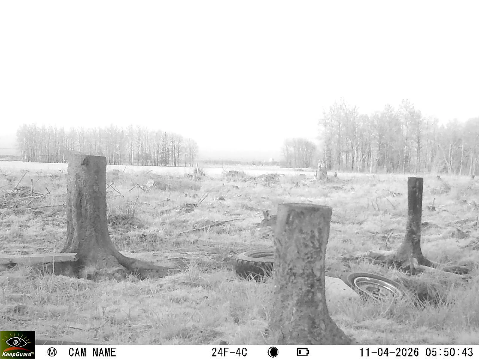 Bild: 1775879713473541736_04110689.webp